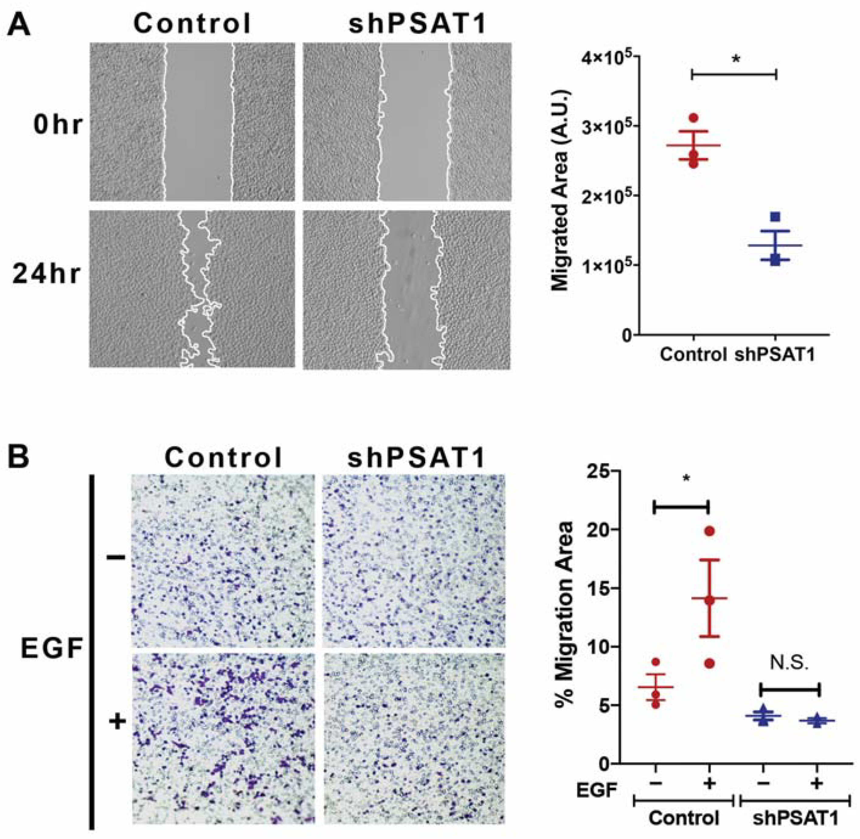 Cancers 13 03938 g005