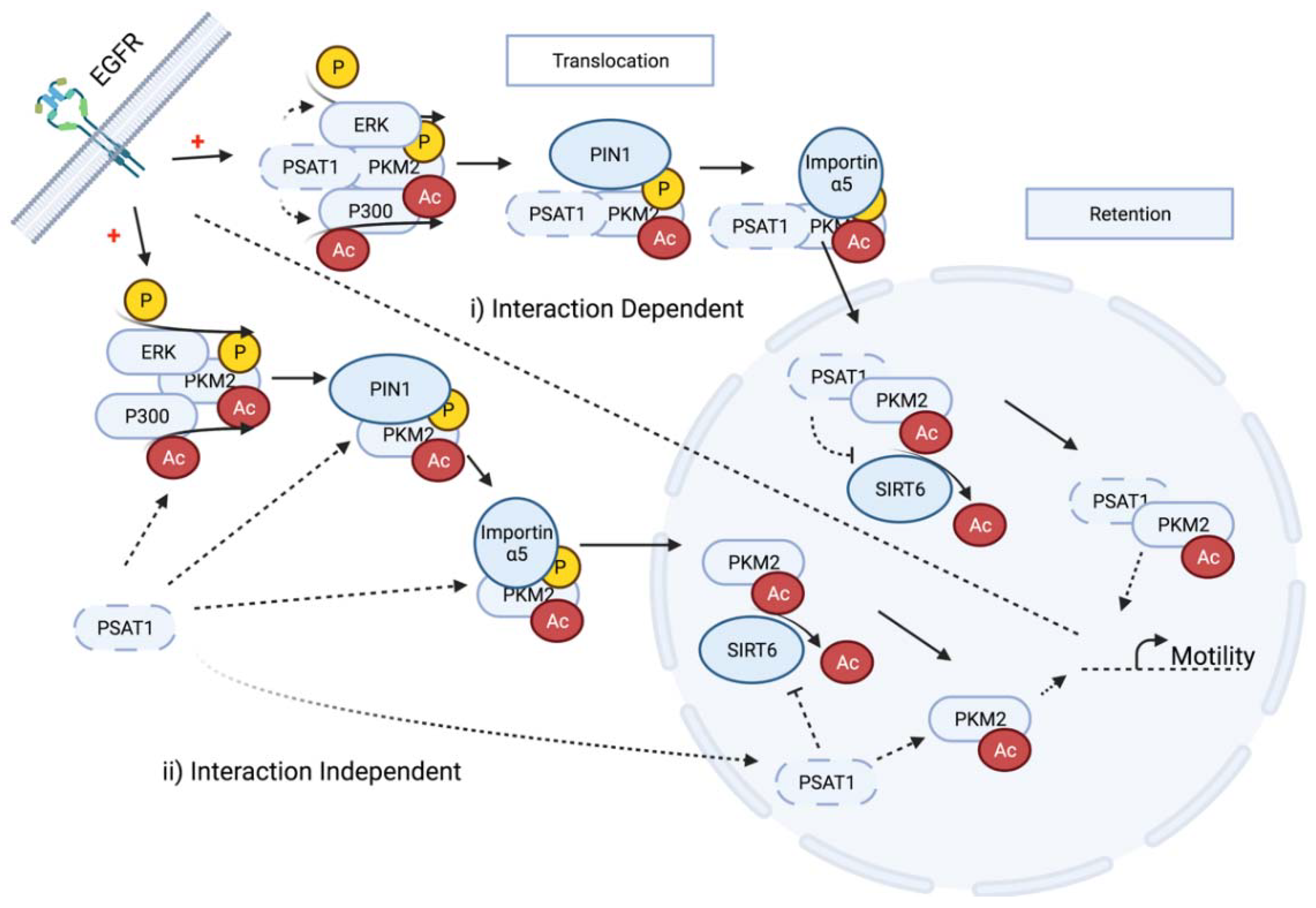 Cancers 13 03938 g008
