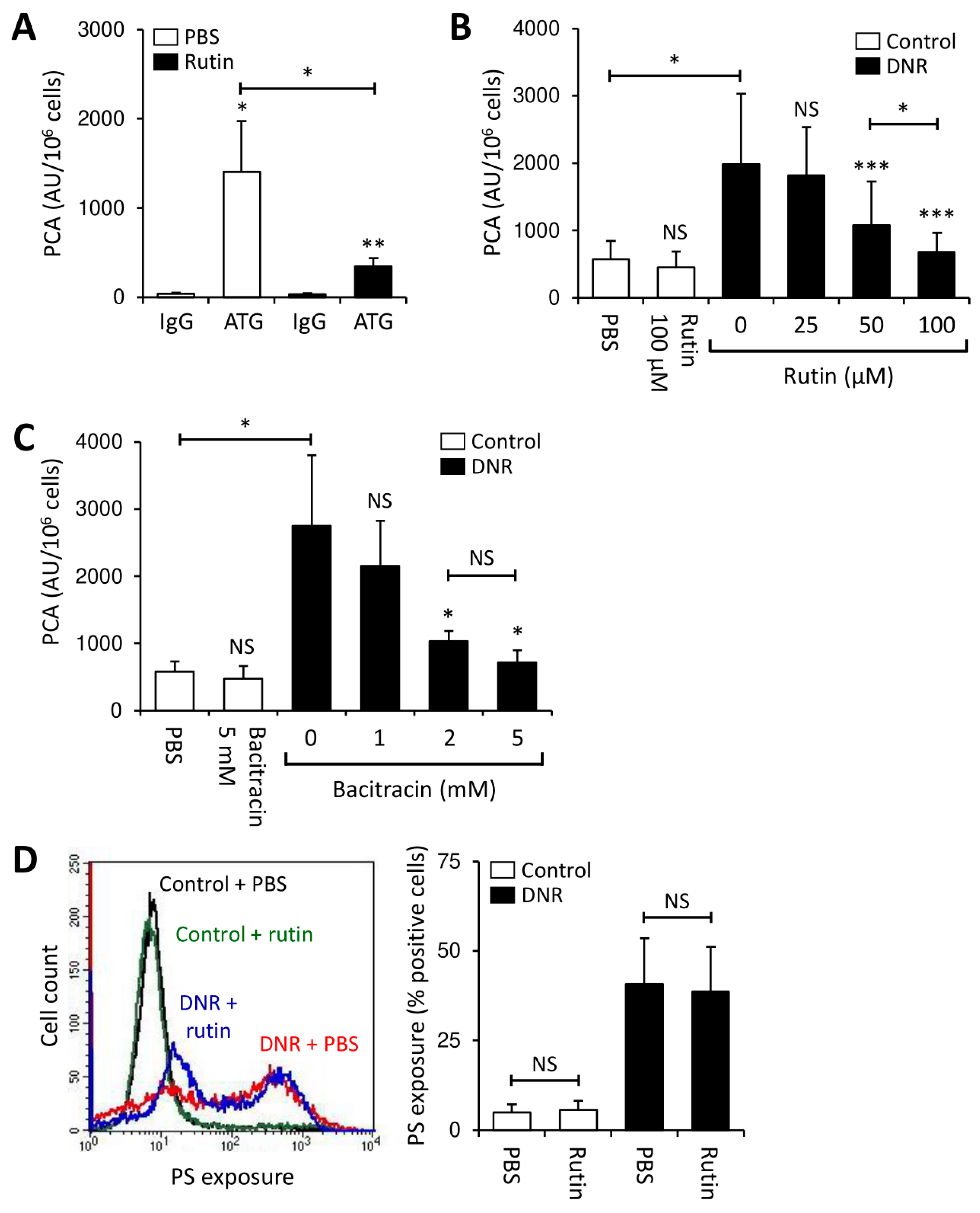 Cancers 13 03941 g004 Cancers 13 03941 g004