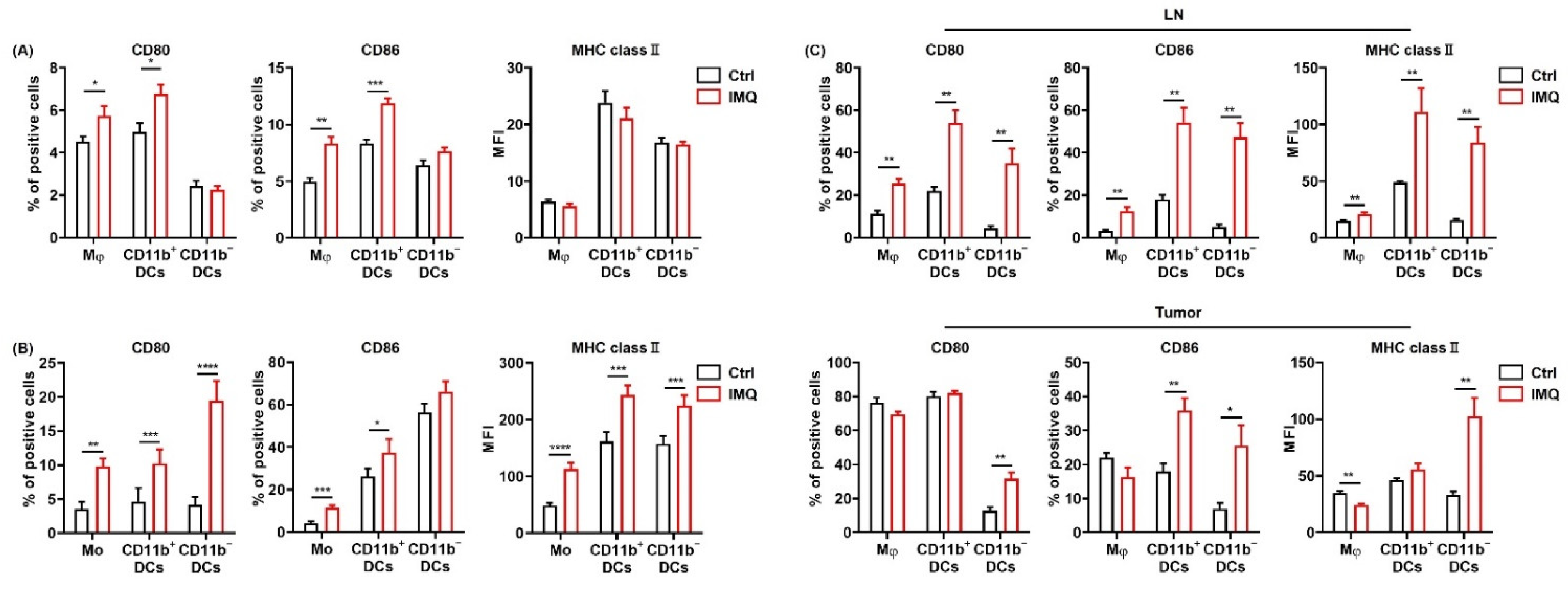 Cancers 13 03948 g002