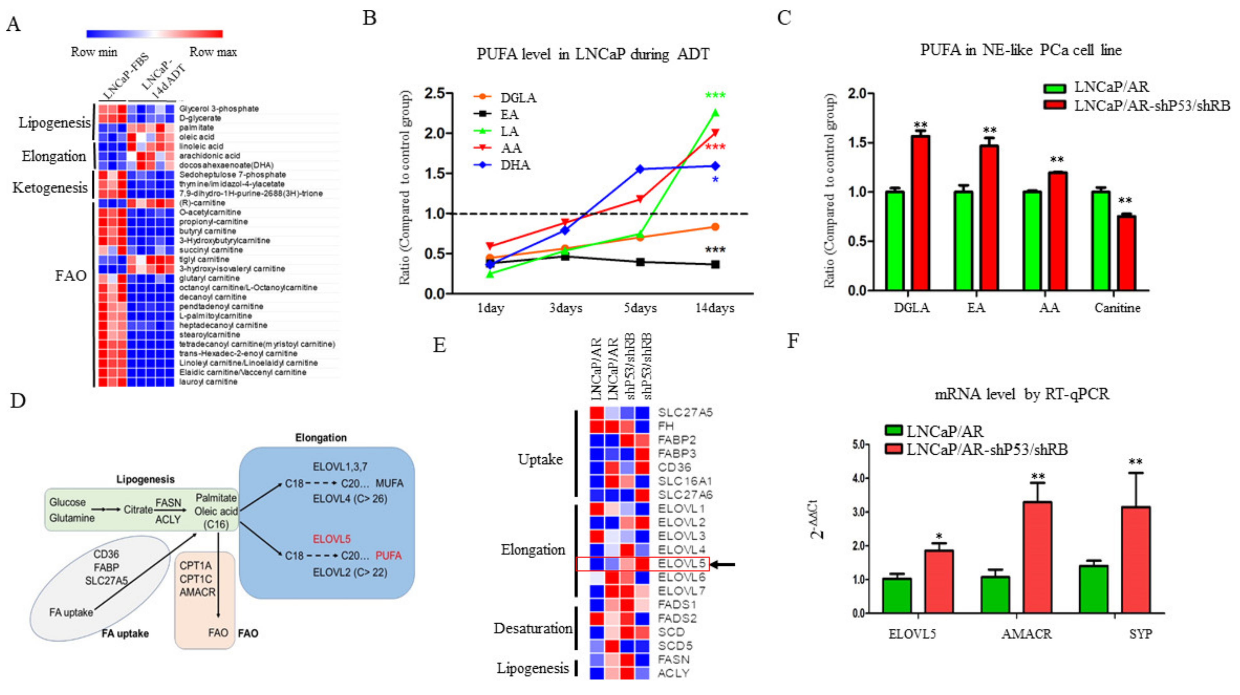 Cancers 13 03957 g001 550