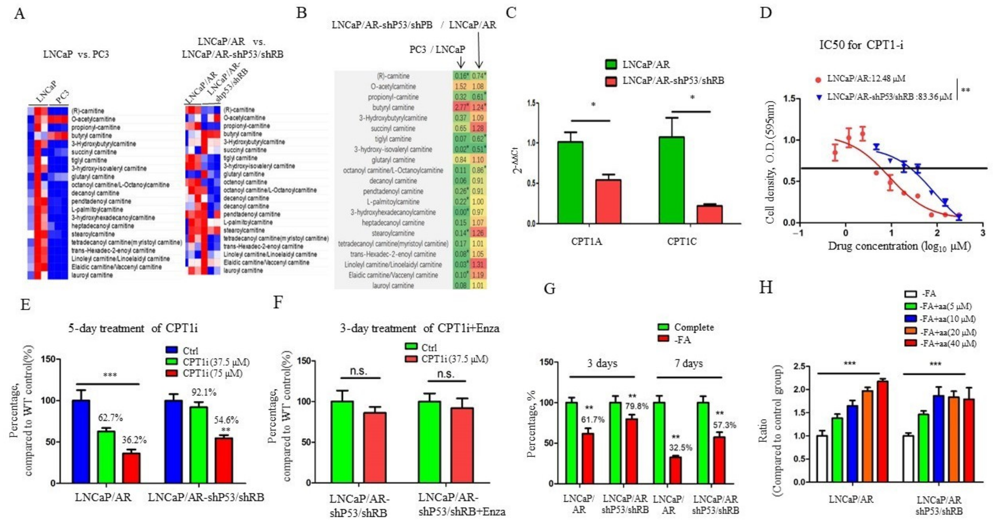 Cancers 13 03957 g002 550