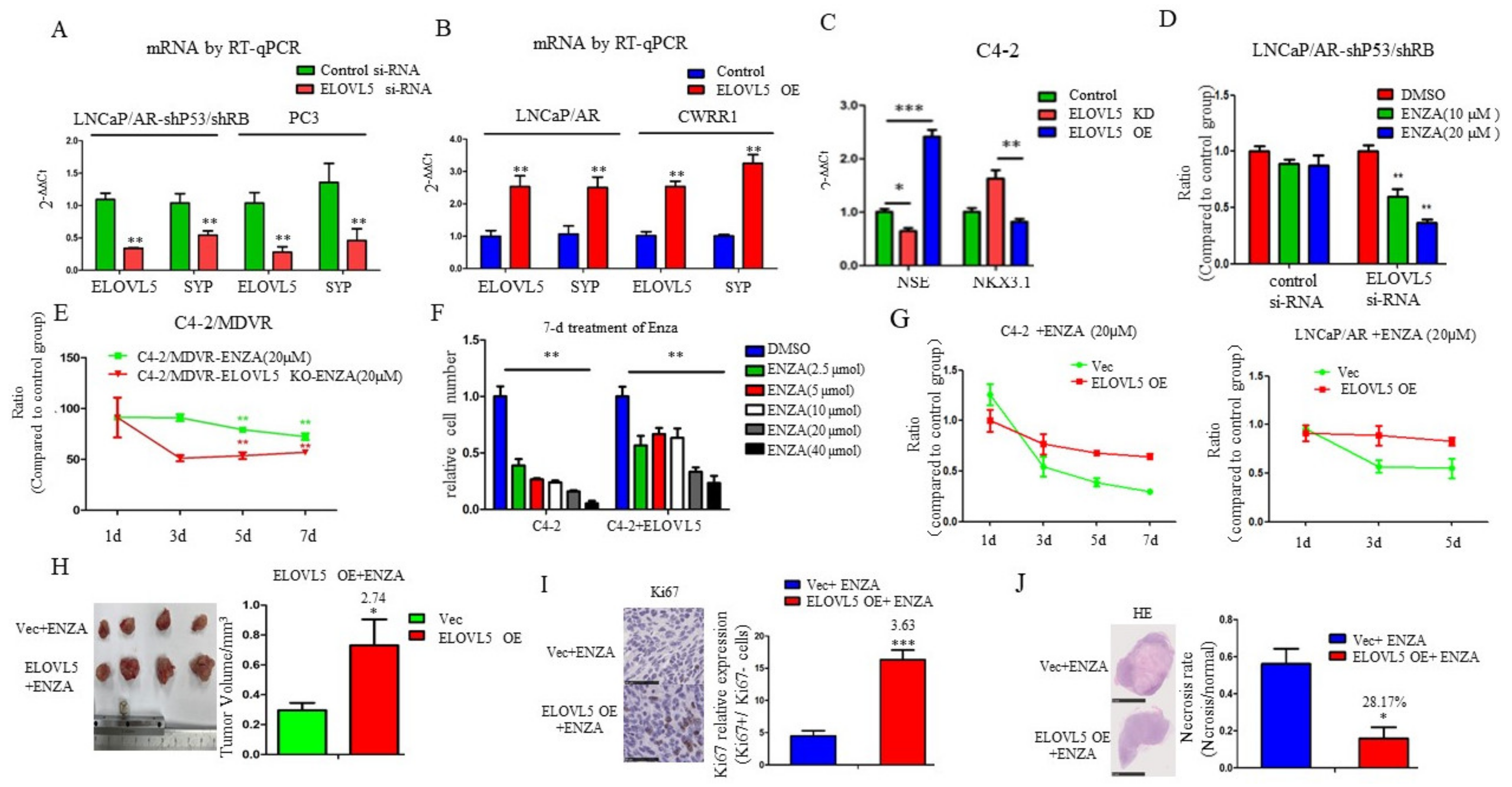 Cancers 13 03957 g003 550