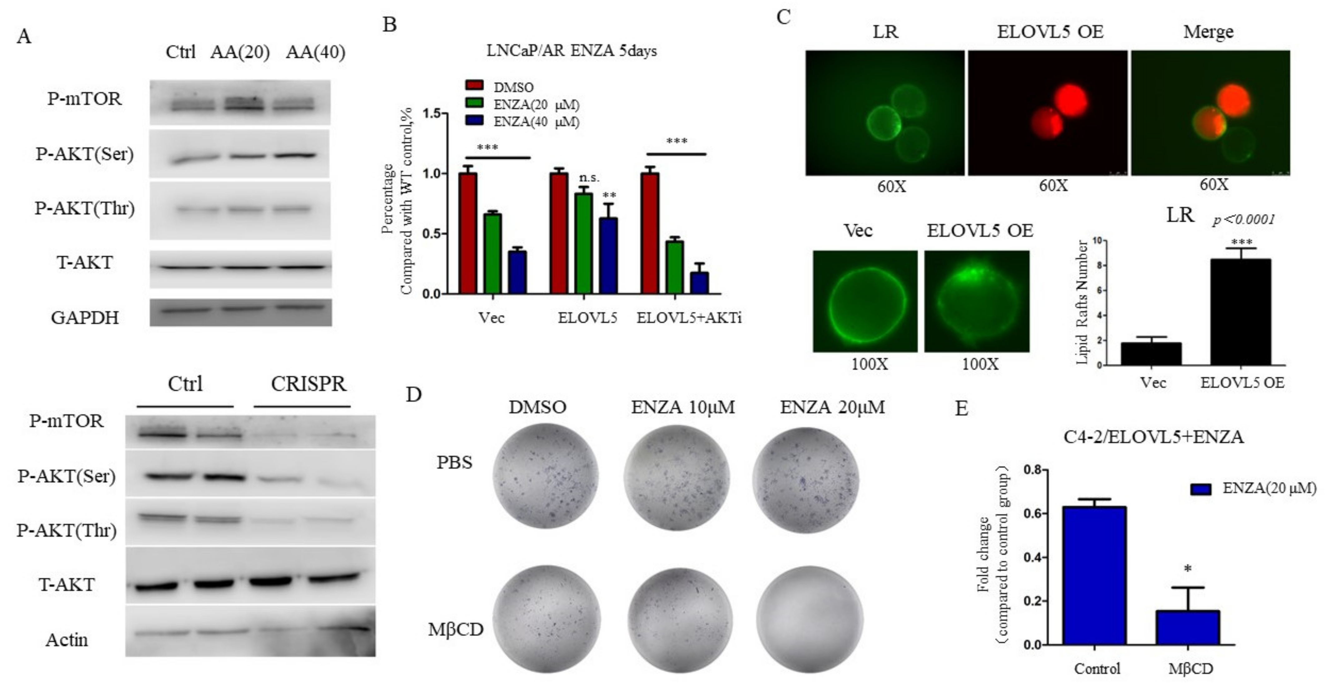 Cancers 13 03957 g004 550