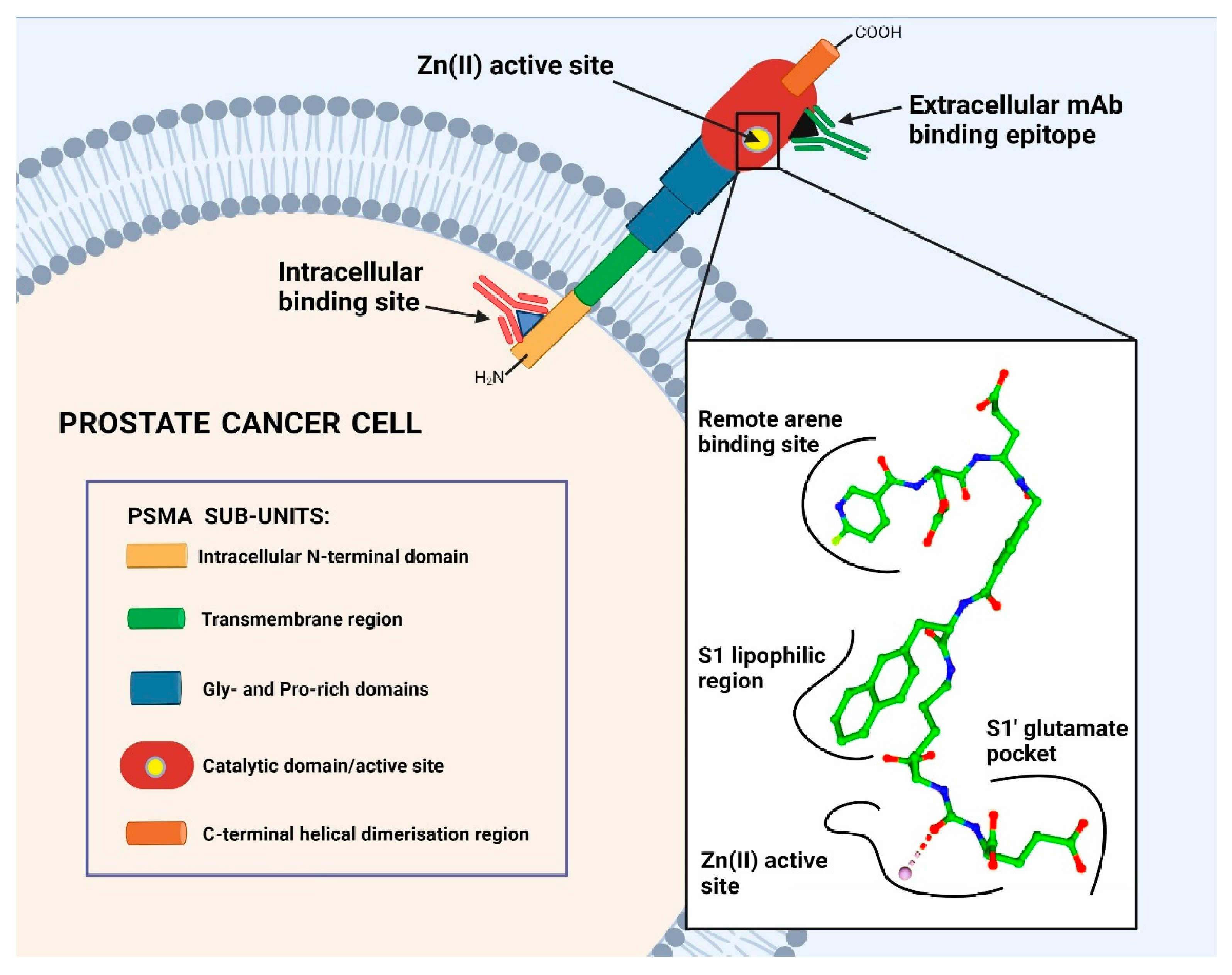 Cancers, Free Full-Text