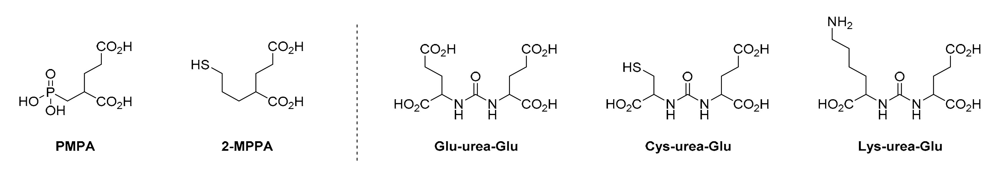 Cancers 13 03967 g002