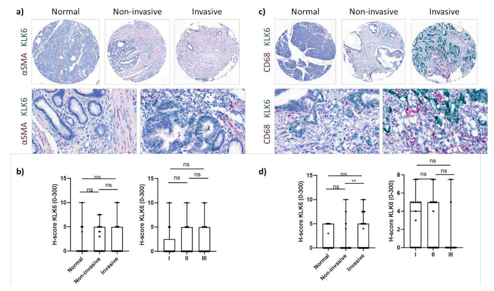 Cancers 13 03969 g003