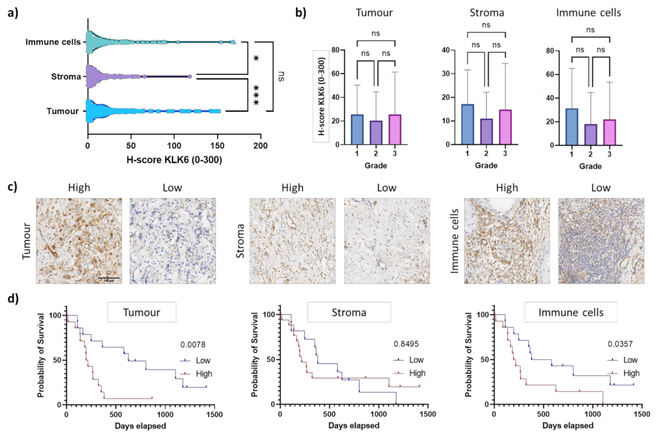 Cancers 13 03969 g004