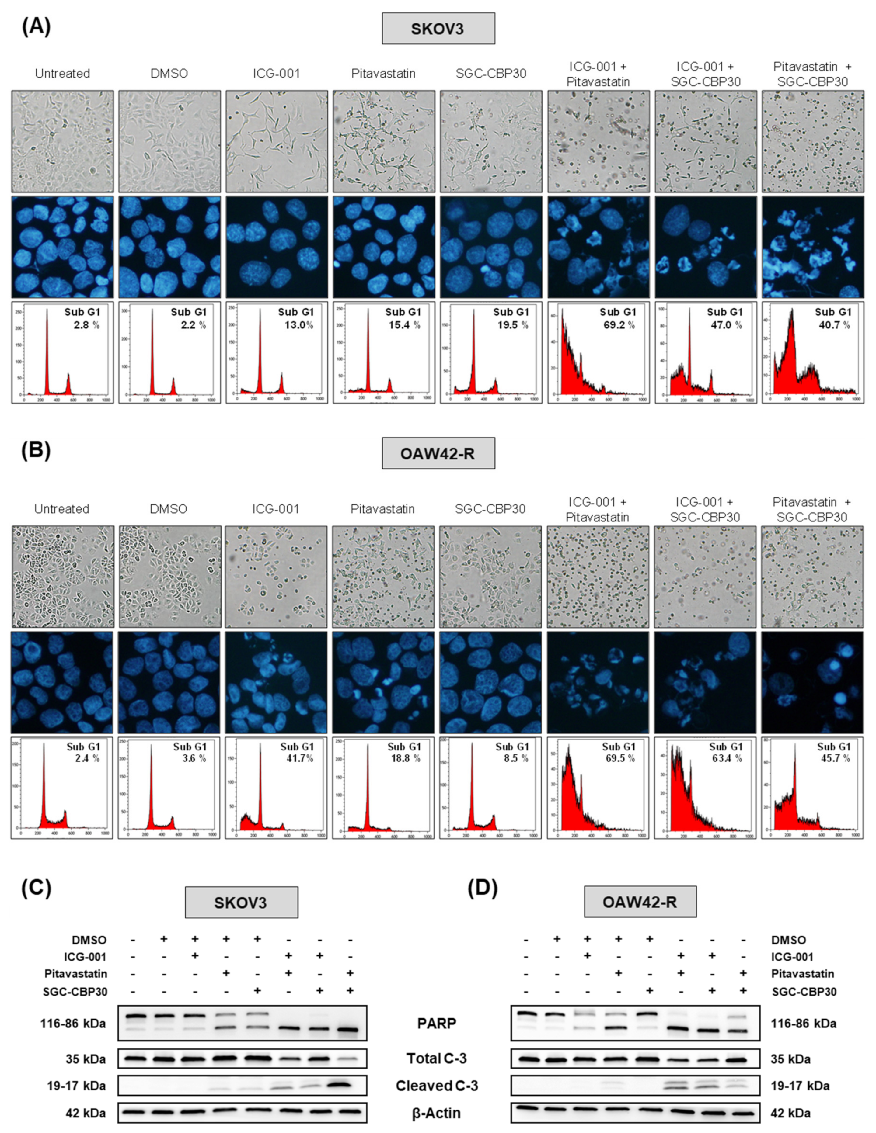 Cancers 13 03970 g006