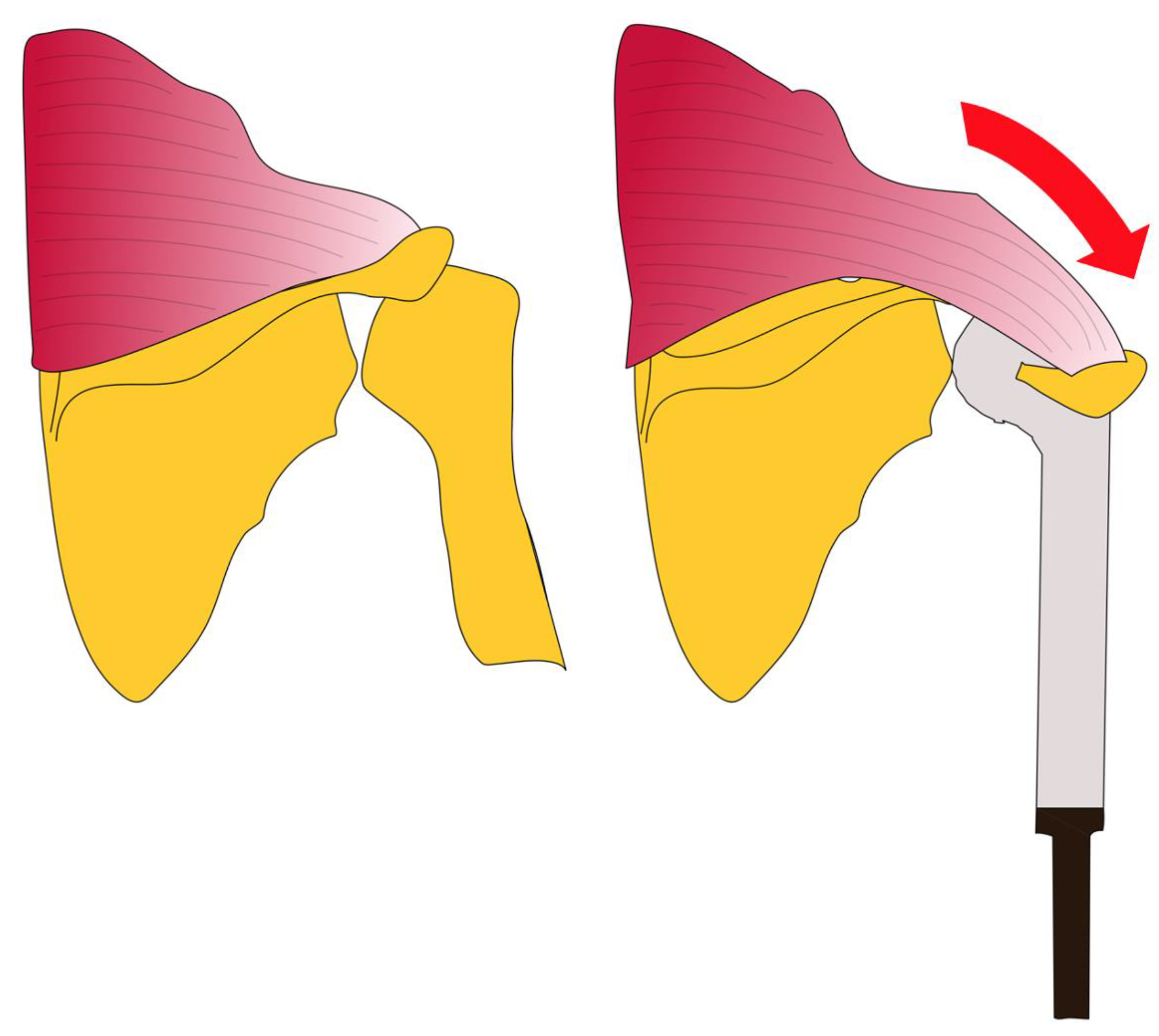 Cancers 13 03971 g002 550