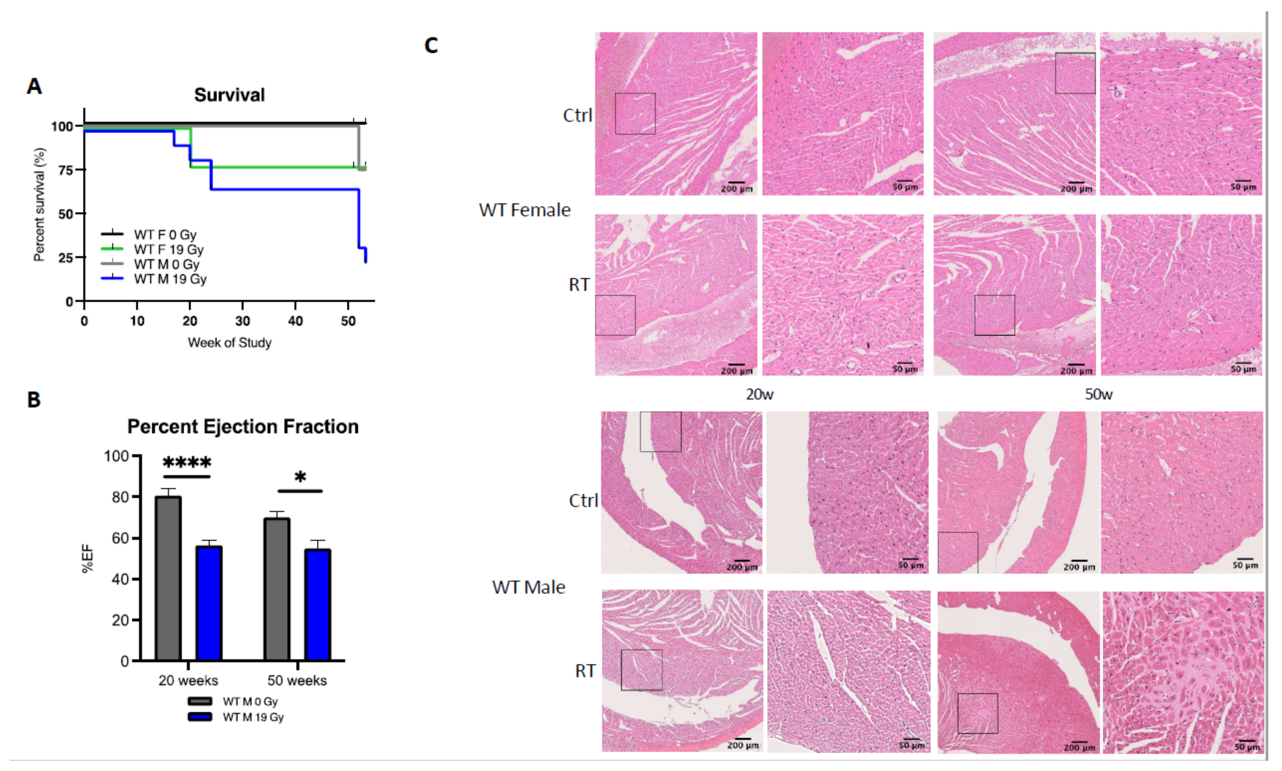 Cancers 13 03973 g002 Cancers 13 03973 g002