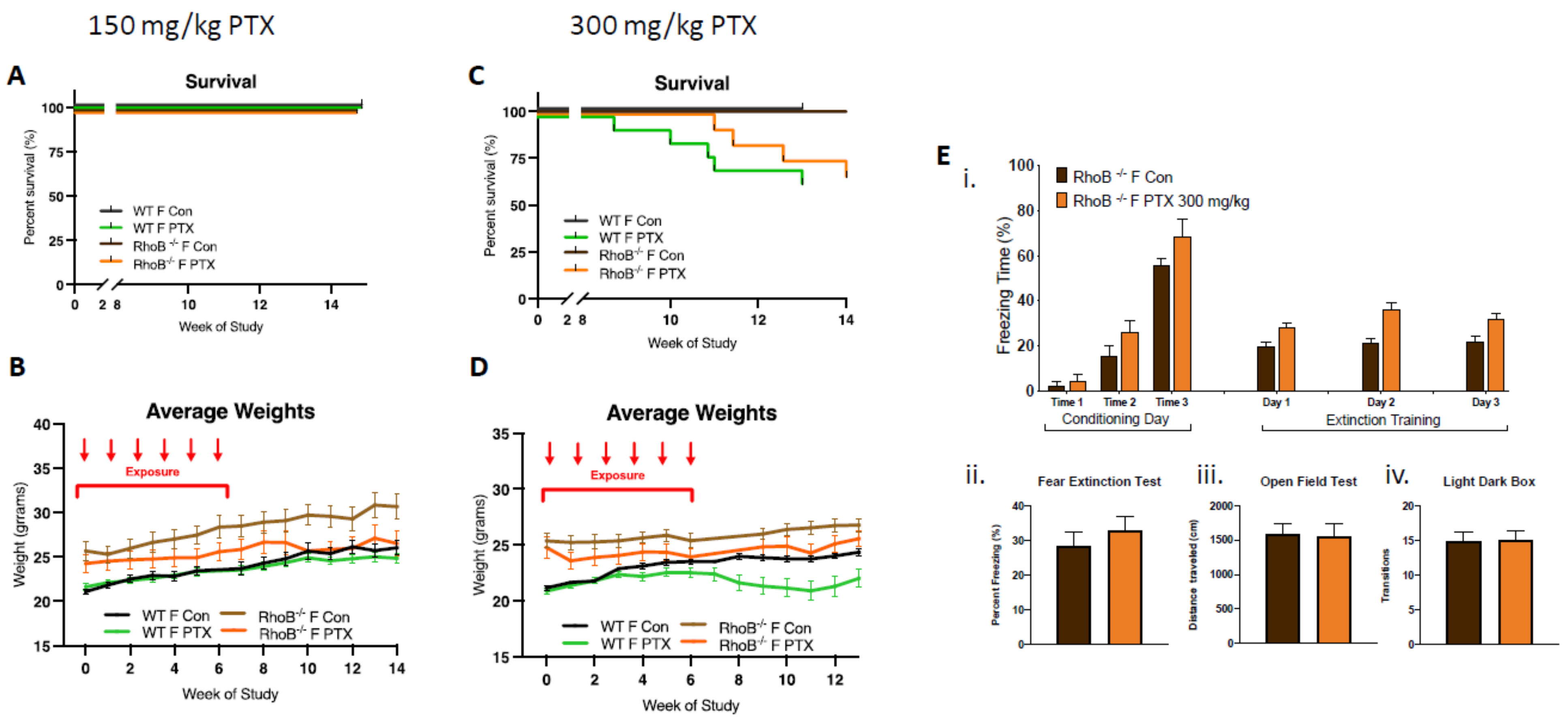 Cancers 13 03973 g003 Cancers 13 03973 g003