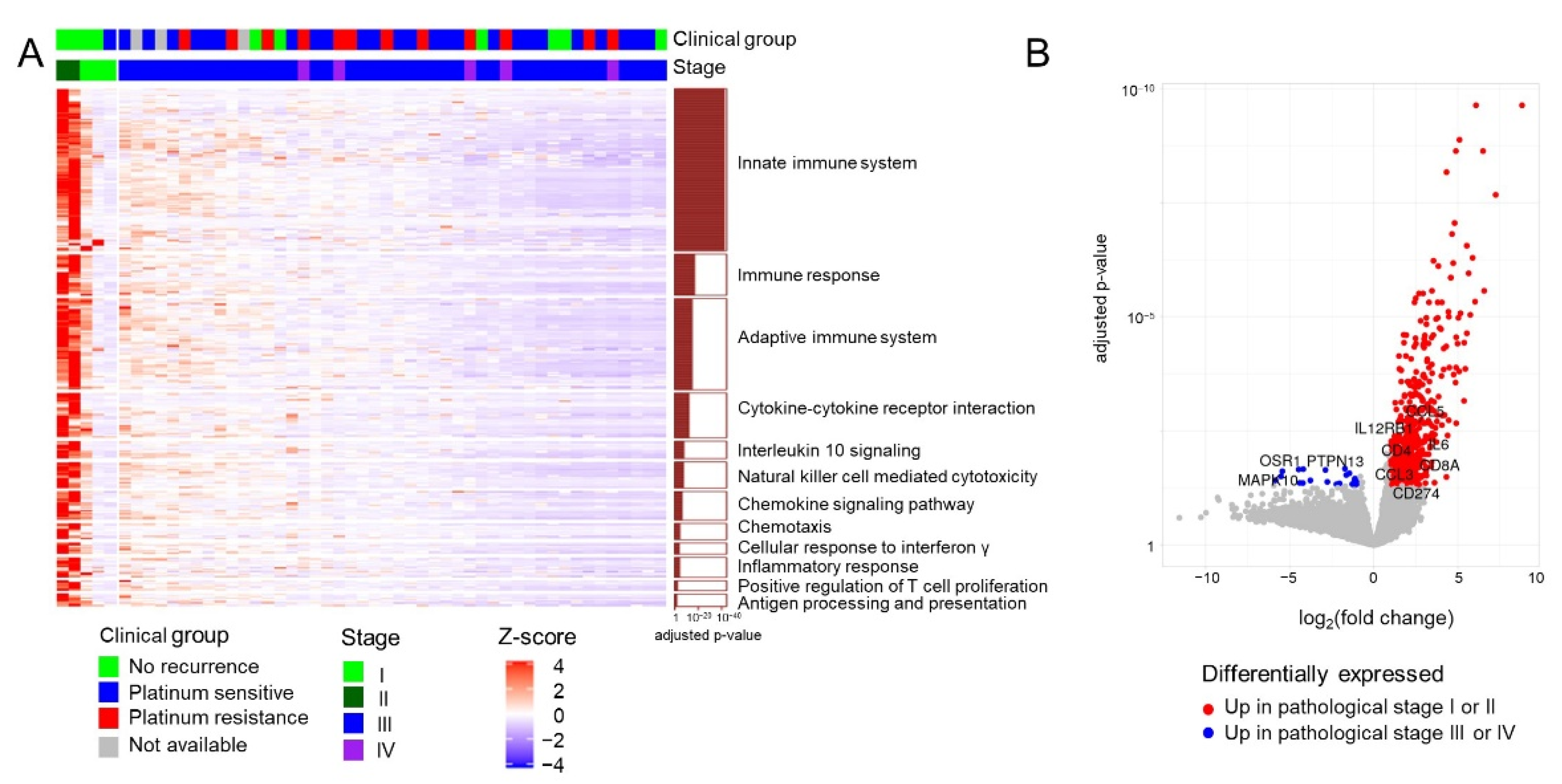 Cancers 13 03976 g001 Cancers 13 03976 g001