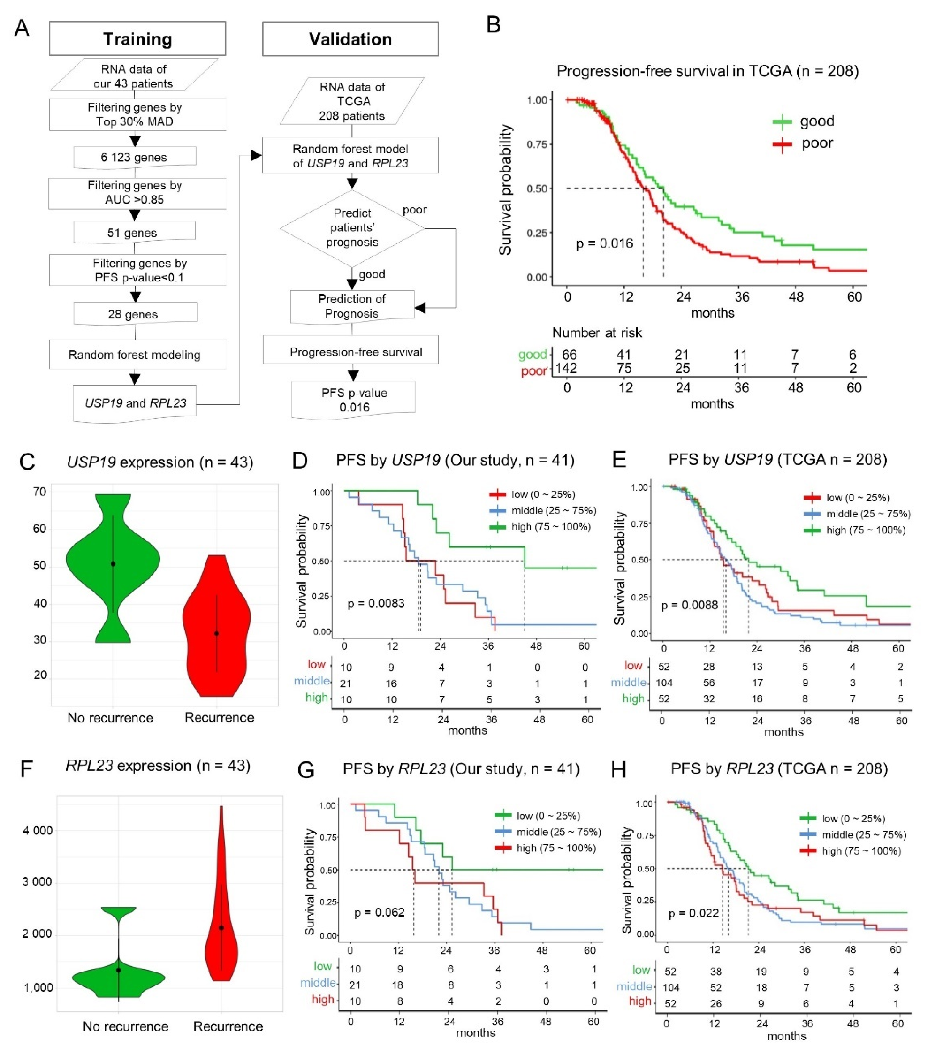 Cancers 13 03976 g002 Cancers 13 03976 g002