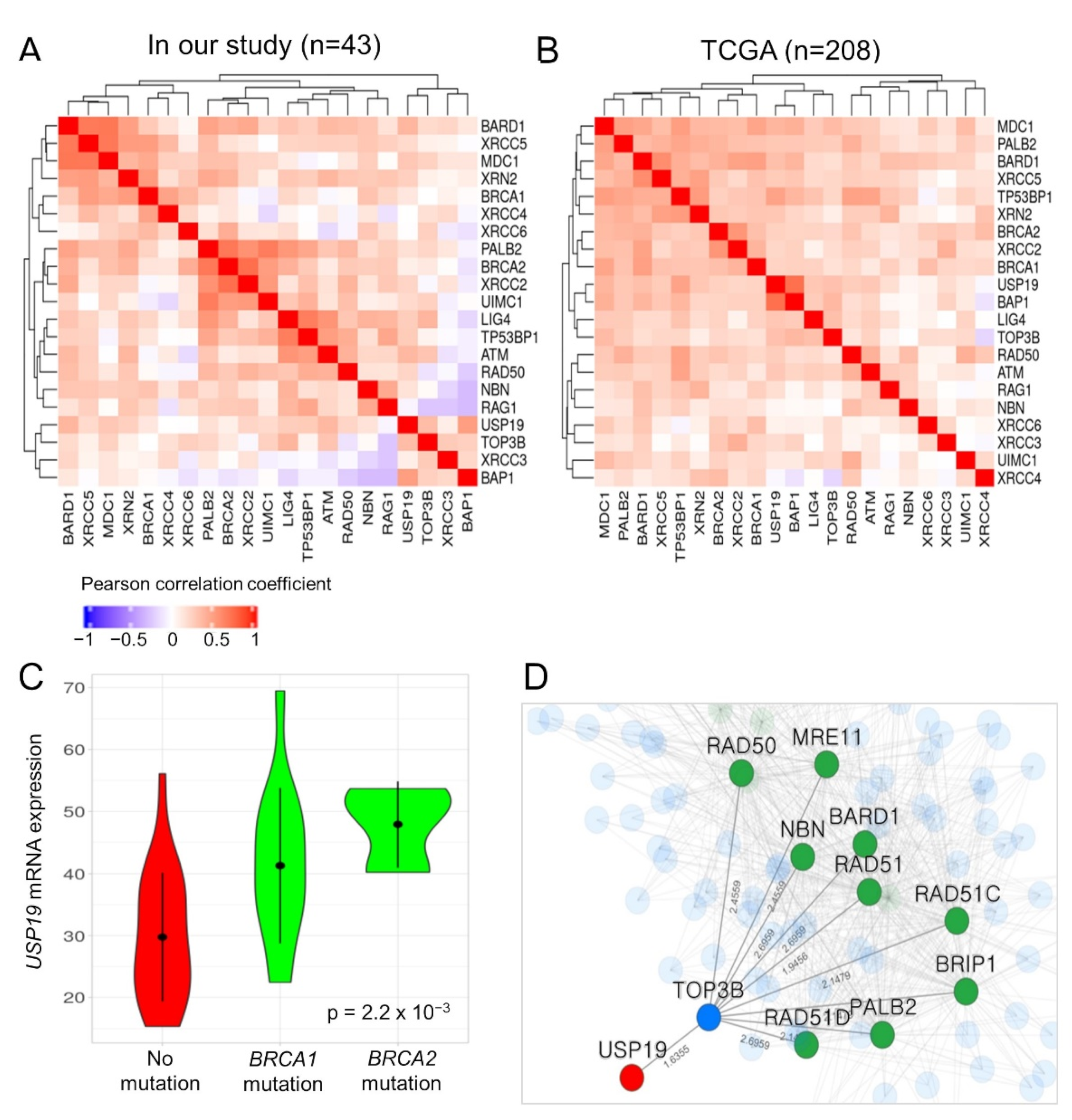 Cancers 13 03976 g003 Cancers 13 03976 g003