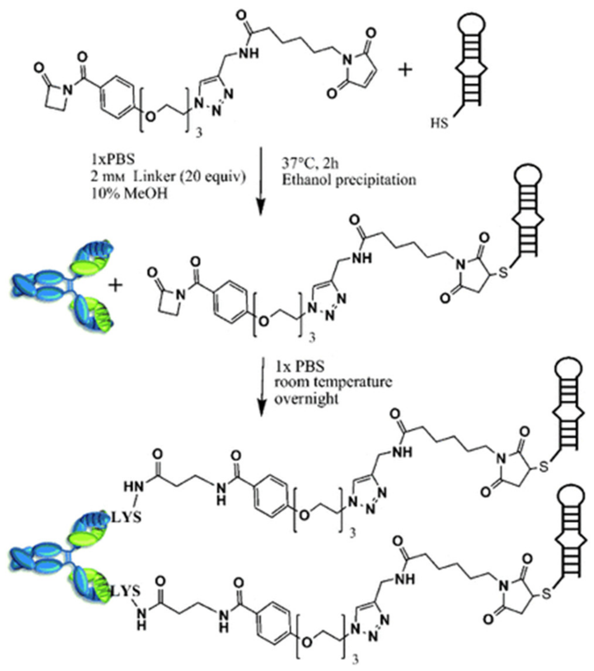 Cancers 13 03984 g003