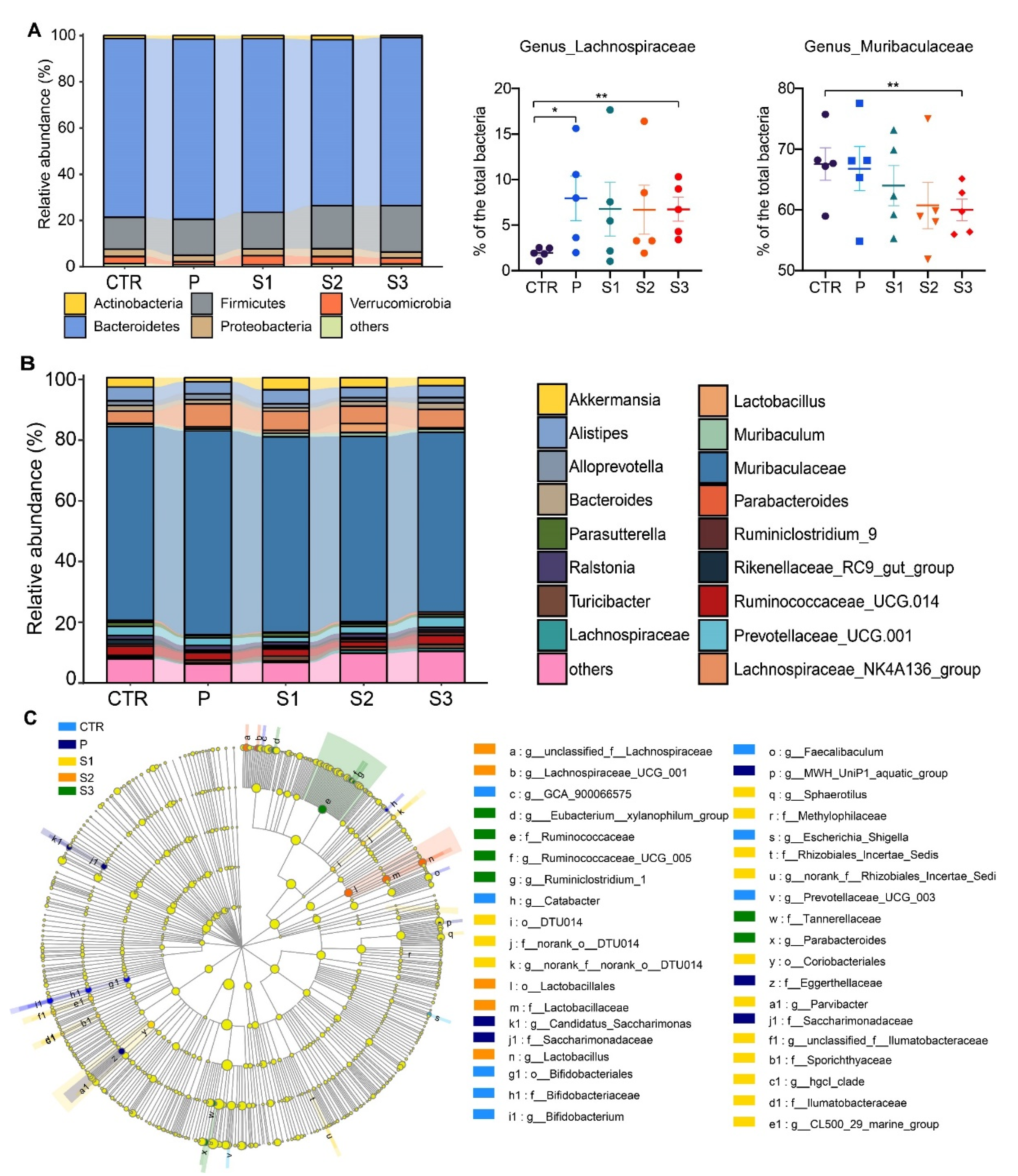 Cancers 13 03987 g003