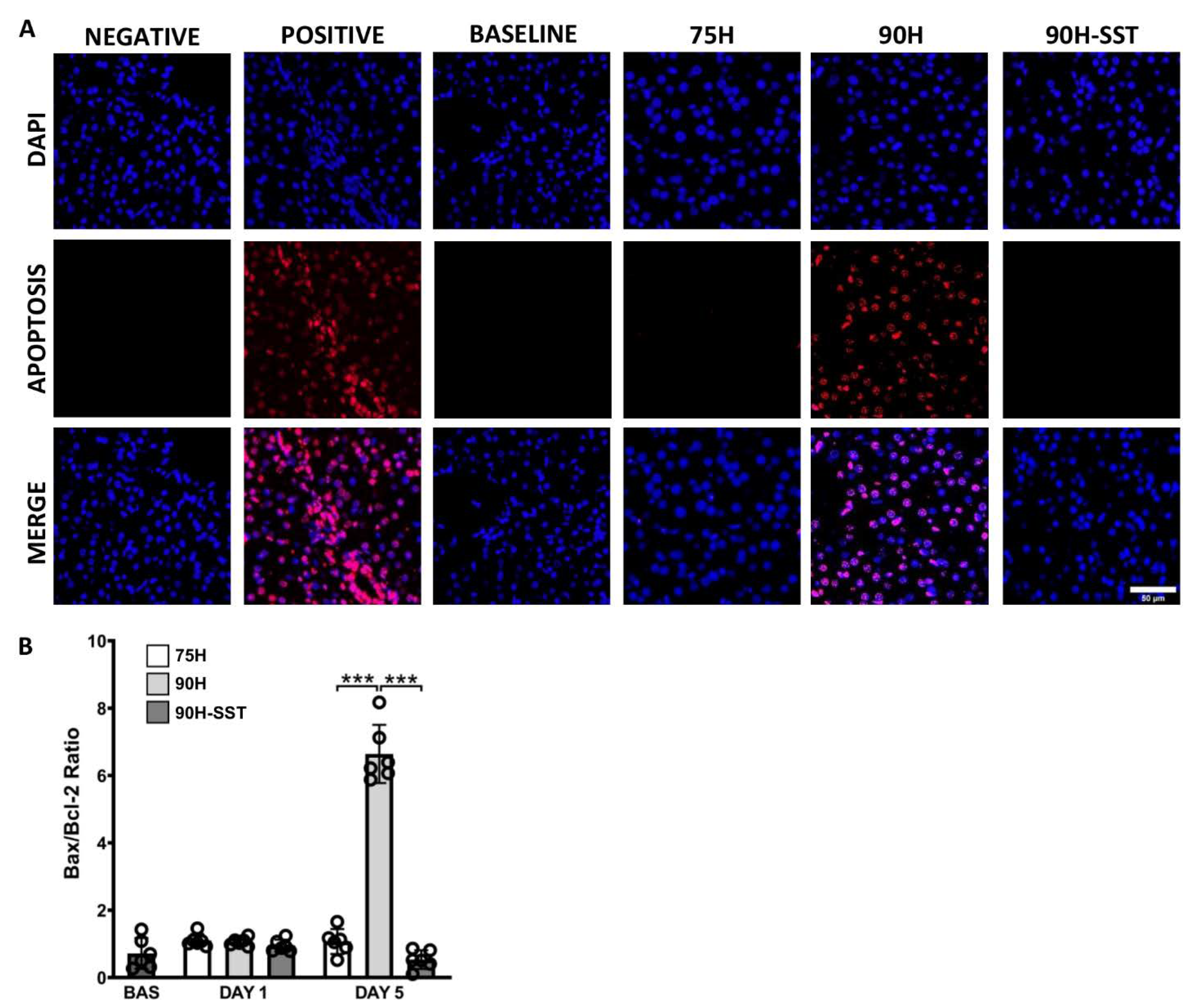 Cancers 13 03989 g004 Cancers 13 03989 g004