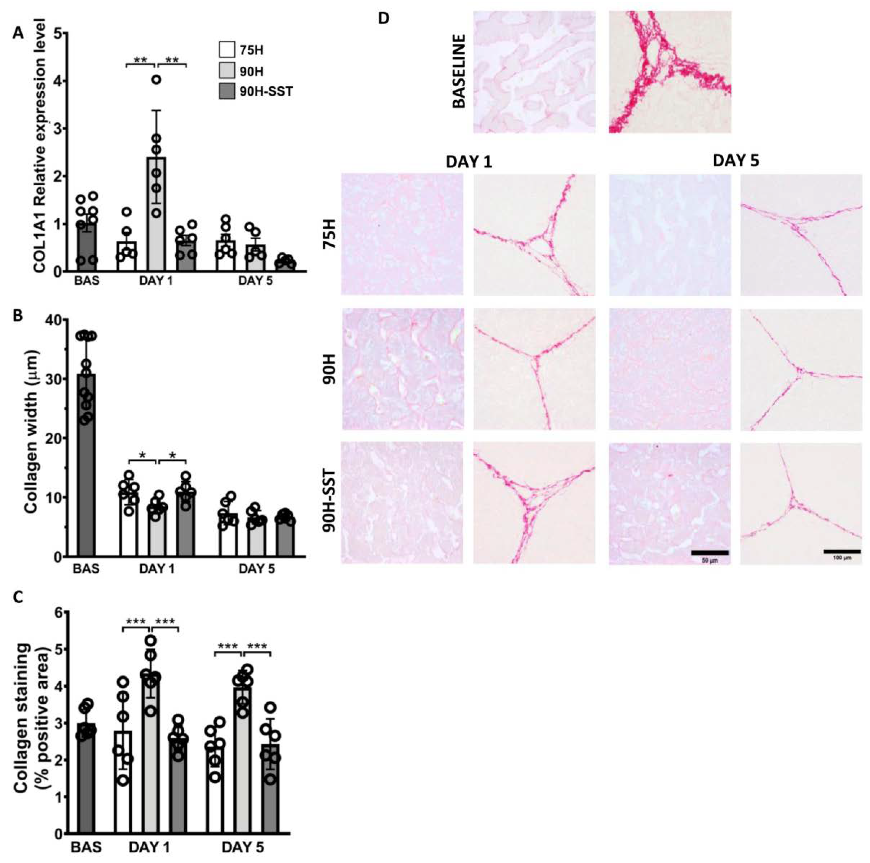 Cancers 13 03989 g006 Cancers 13 03989 g006