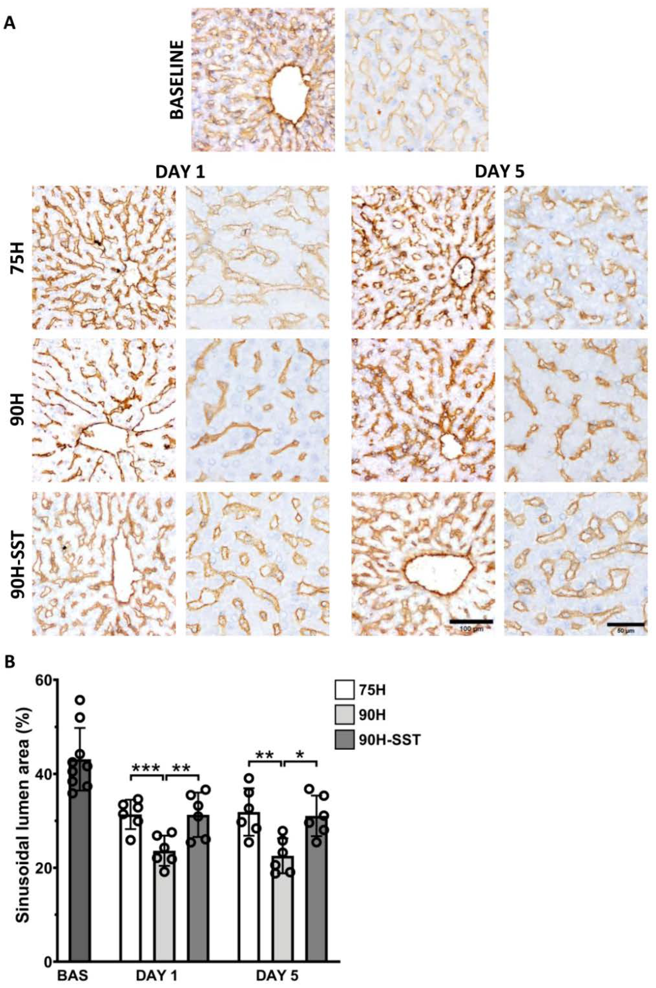 Cancers 13 03989 g007 Cancers 13 03989 g007