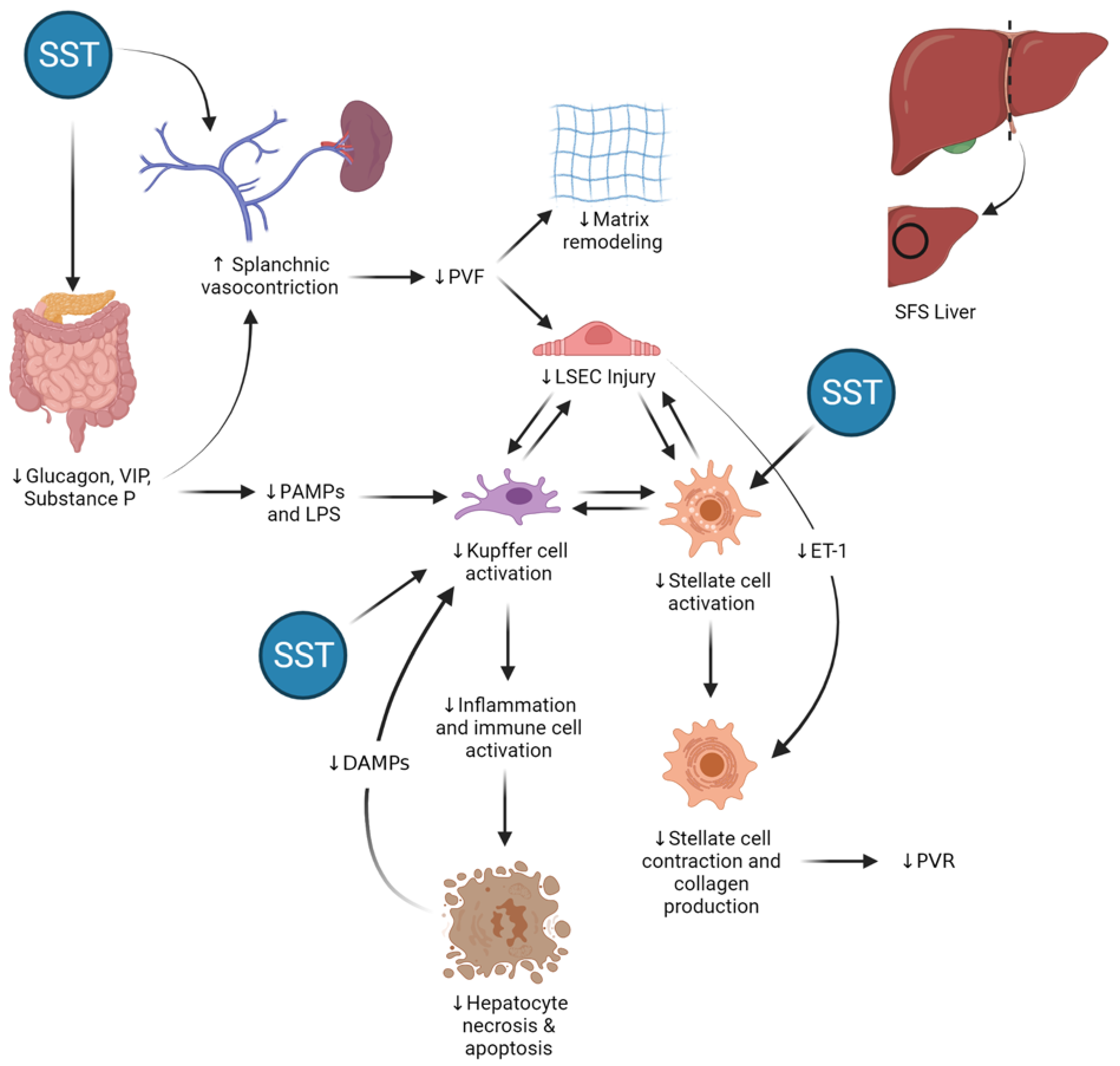 Cancers 13 03989 g008 Cancers 13 03989 g008