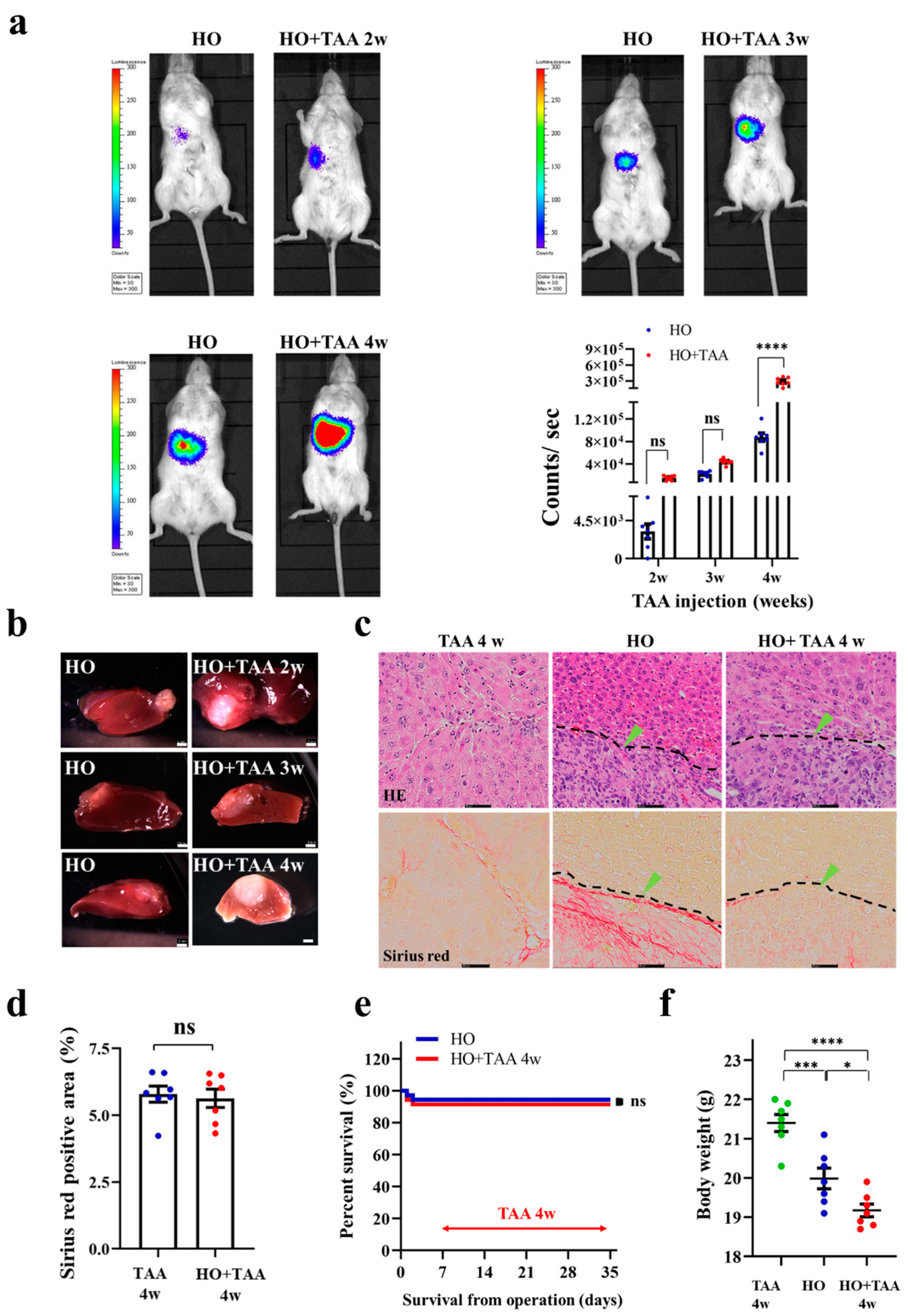 Cancers 13 03997 g004