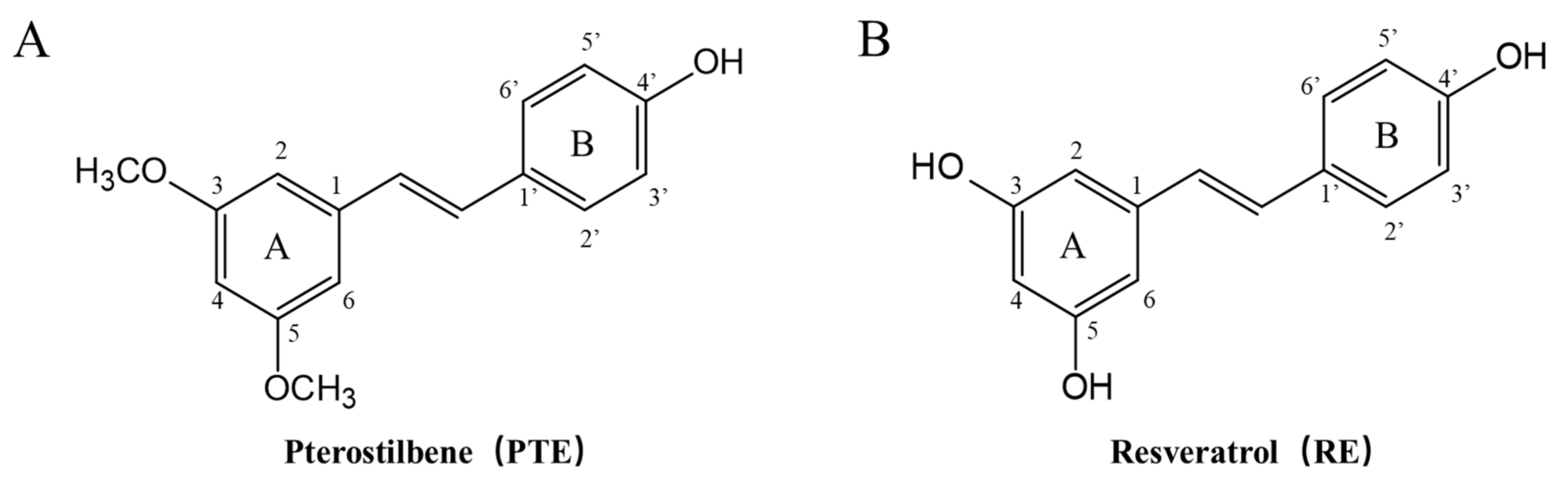 Cancers 13 04002 g001