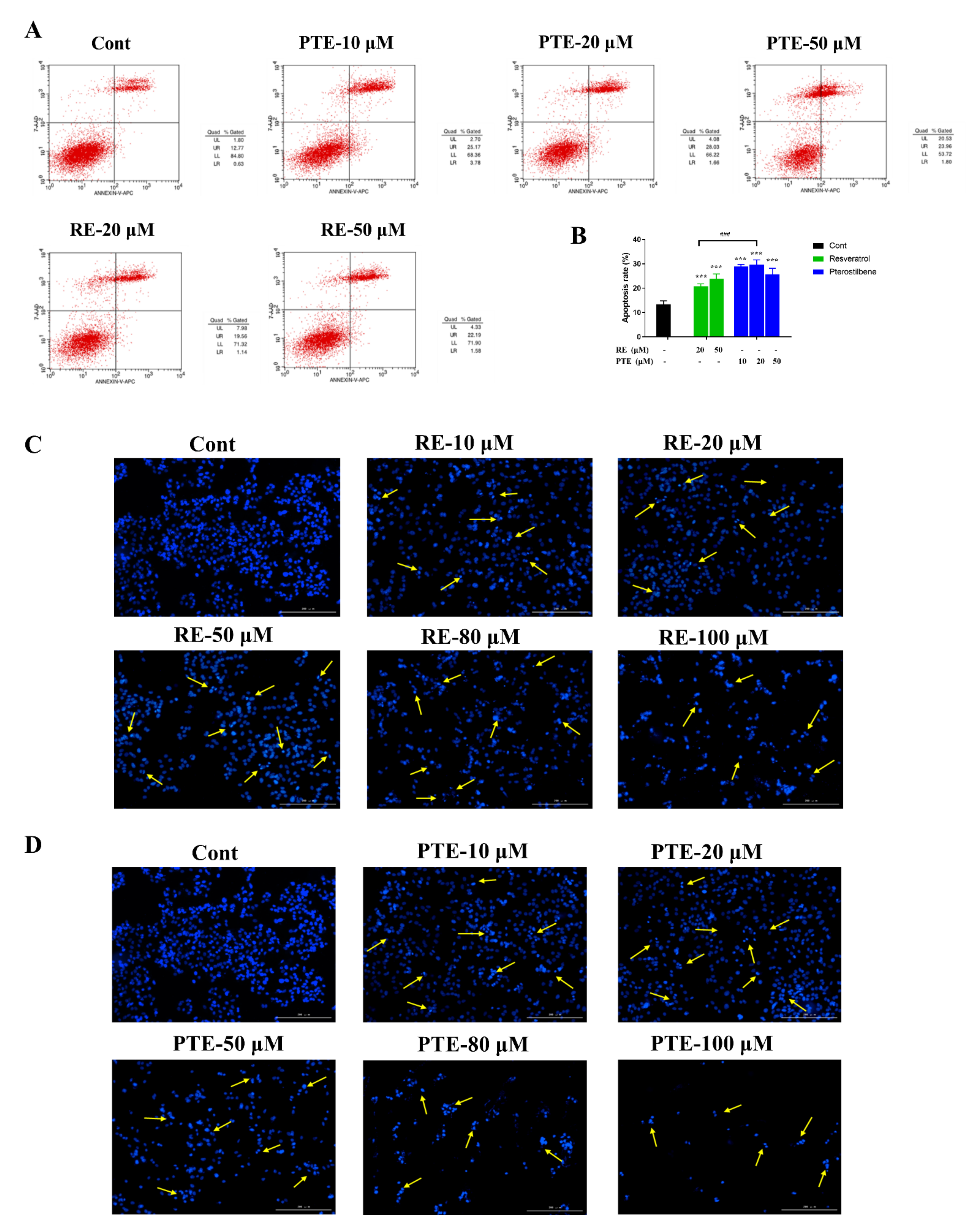 Cancers 13 04002 g002