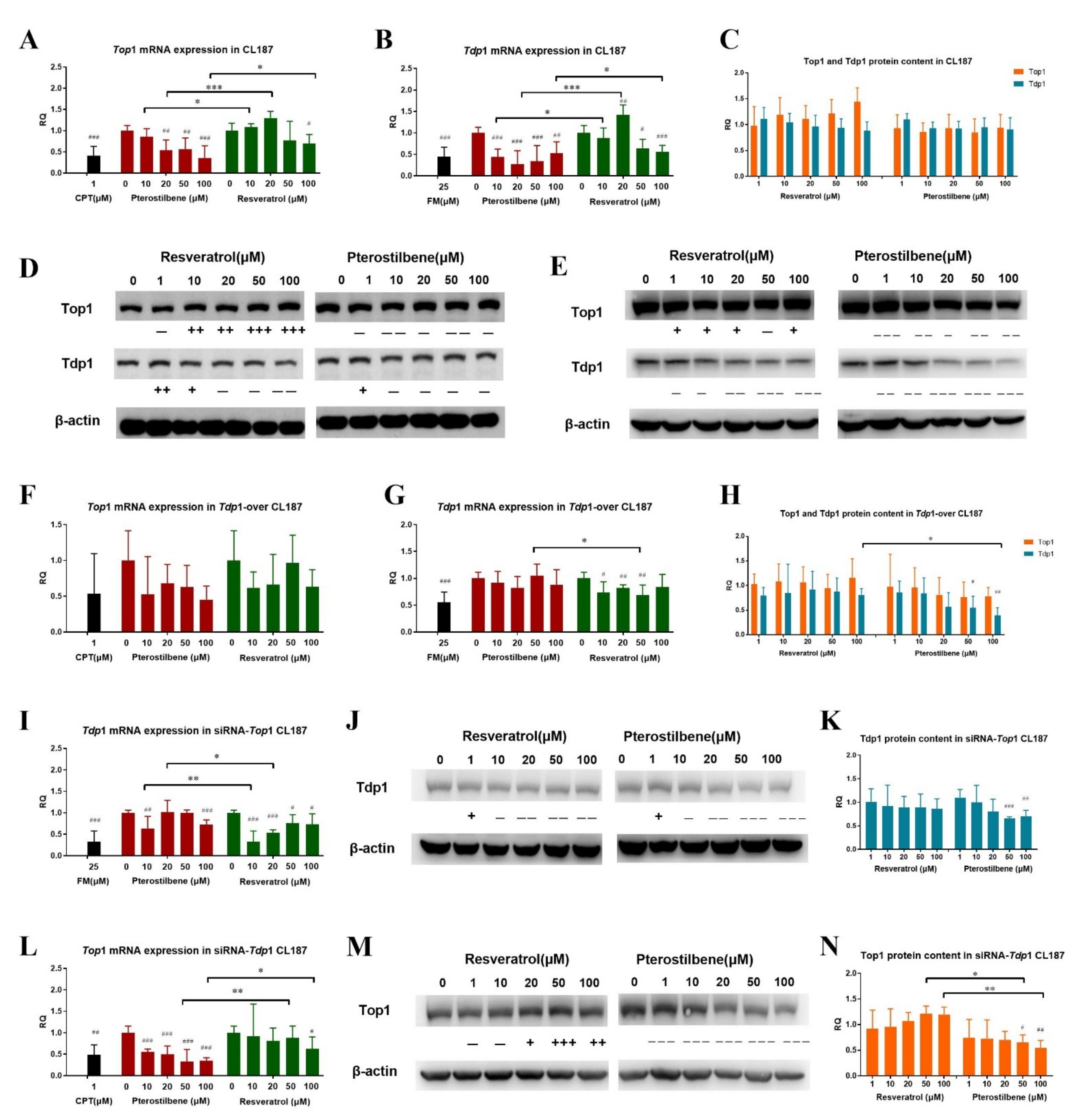 Cancers 13 04002 g007