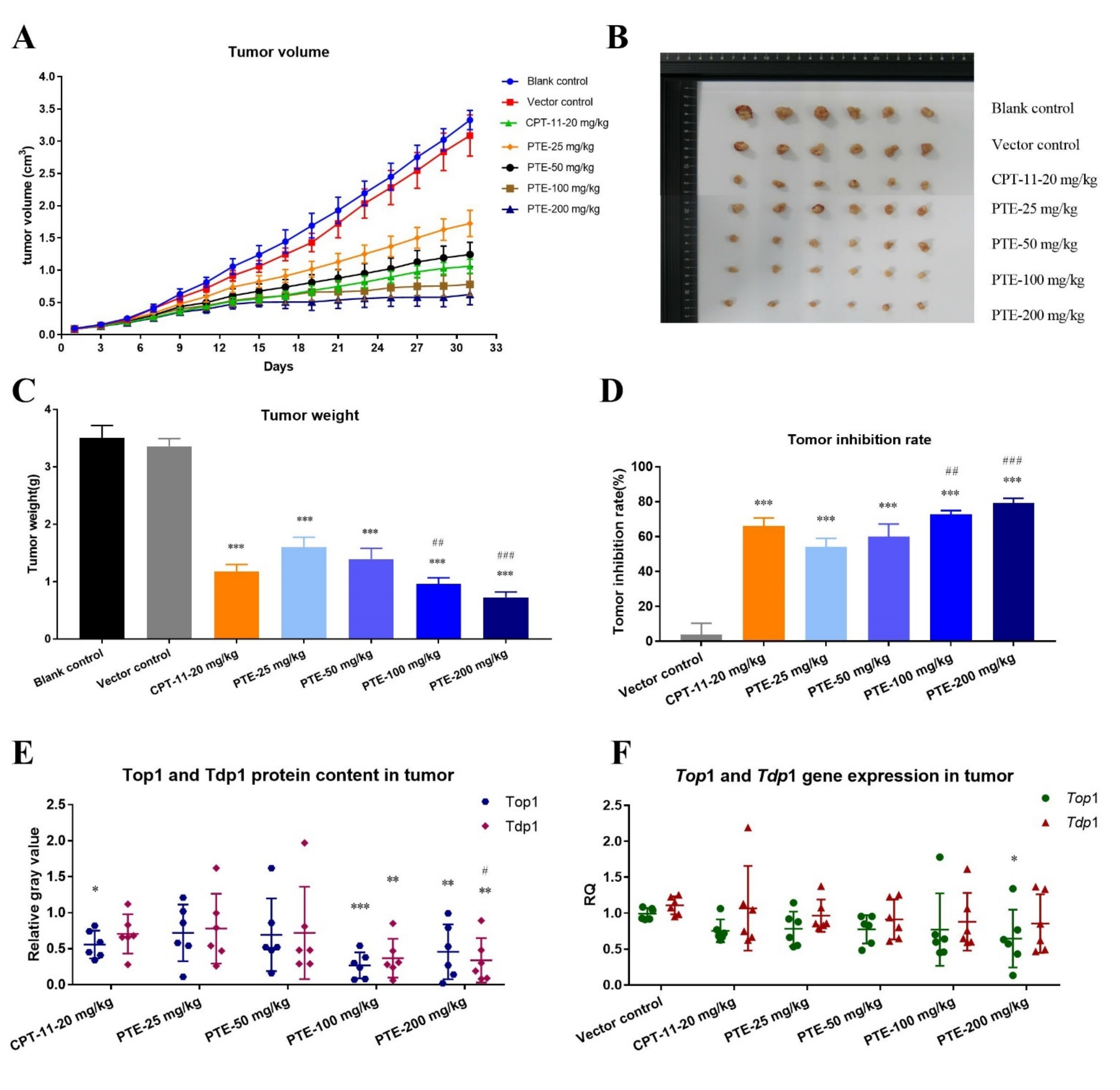 Cancers 13 04002 g008