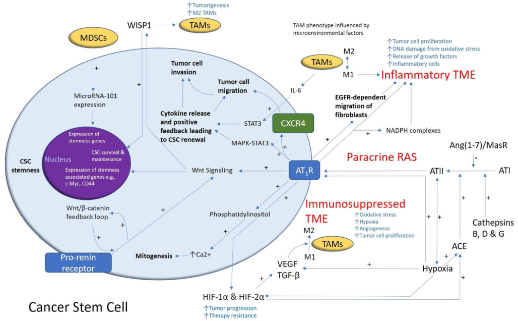 Cancers 13 04004 g001 Cancers 13 04004 g001