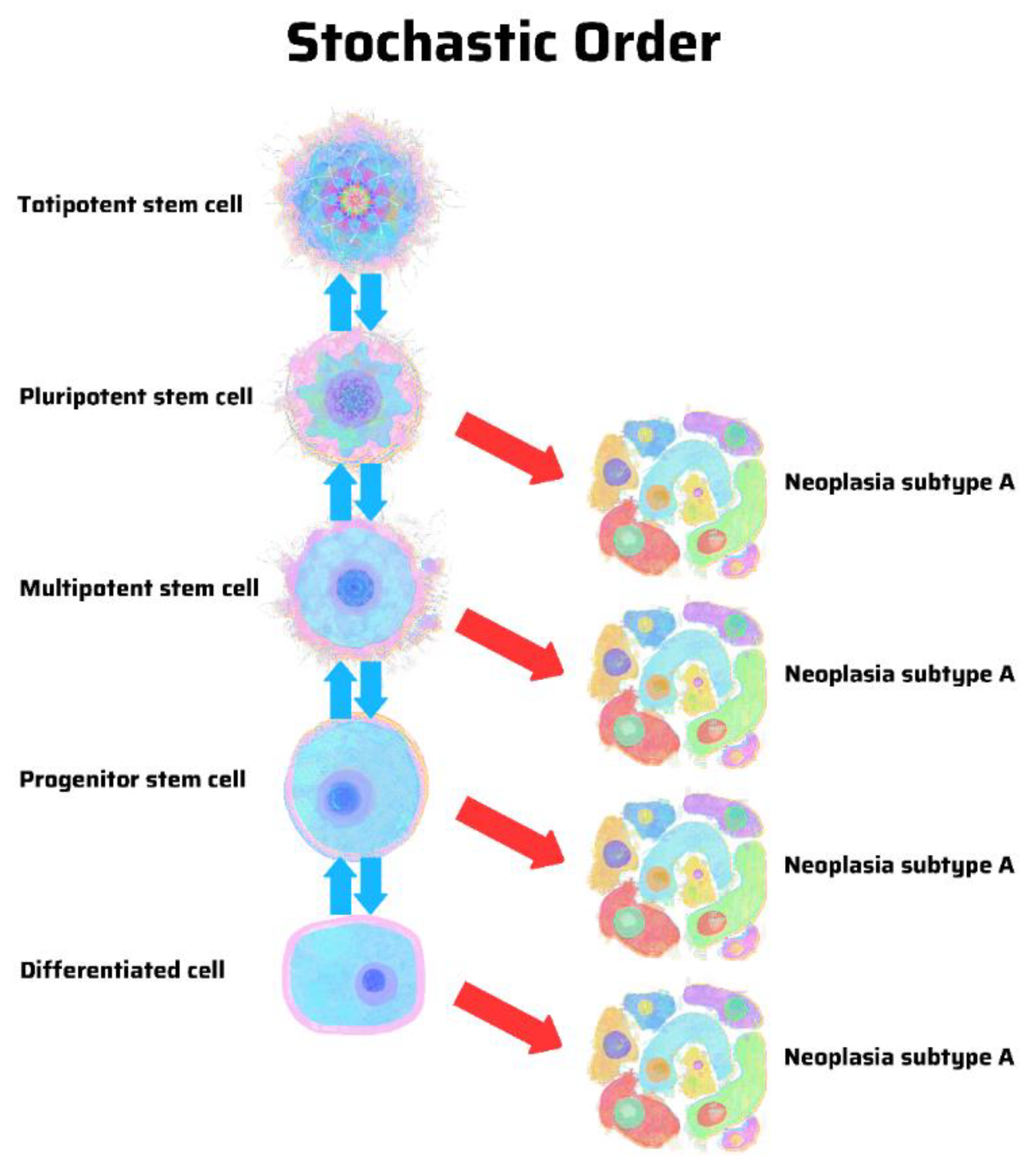 Cancers Free Full Text Stem Cell Theory Of Cancer Origin Of Tumor