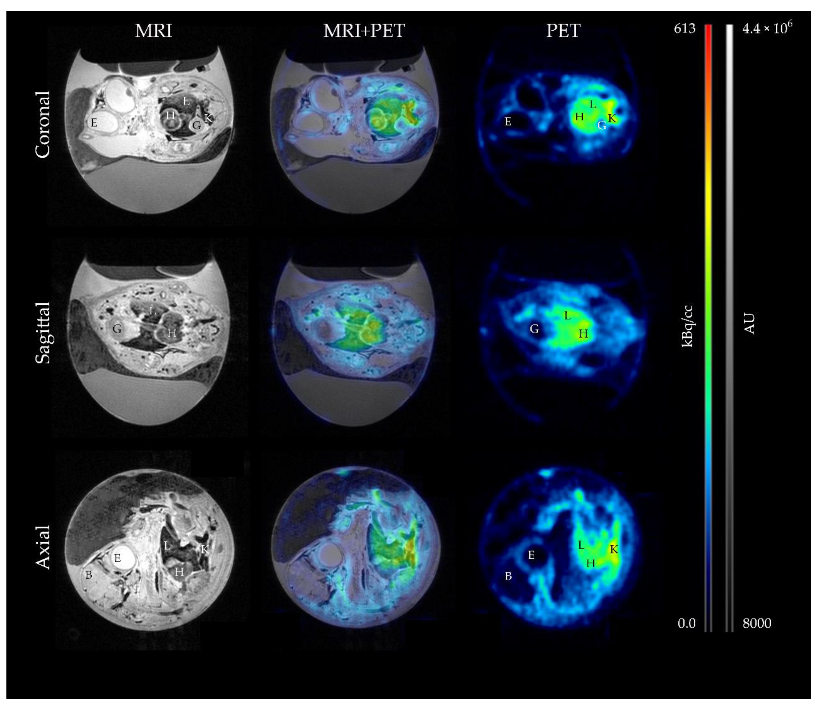 Cancers 13 04007 g005 Cancers 13 04007 g005