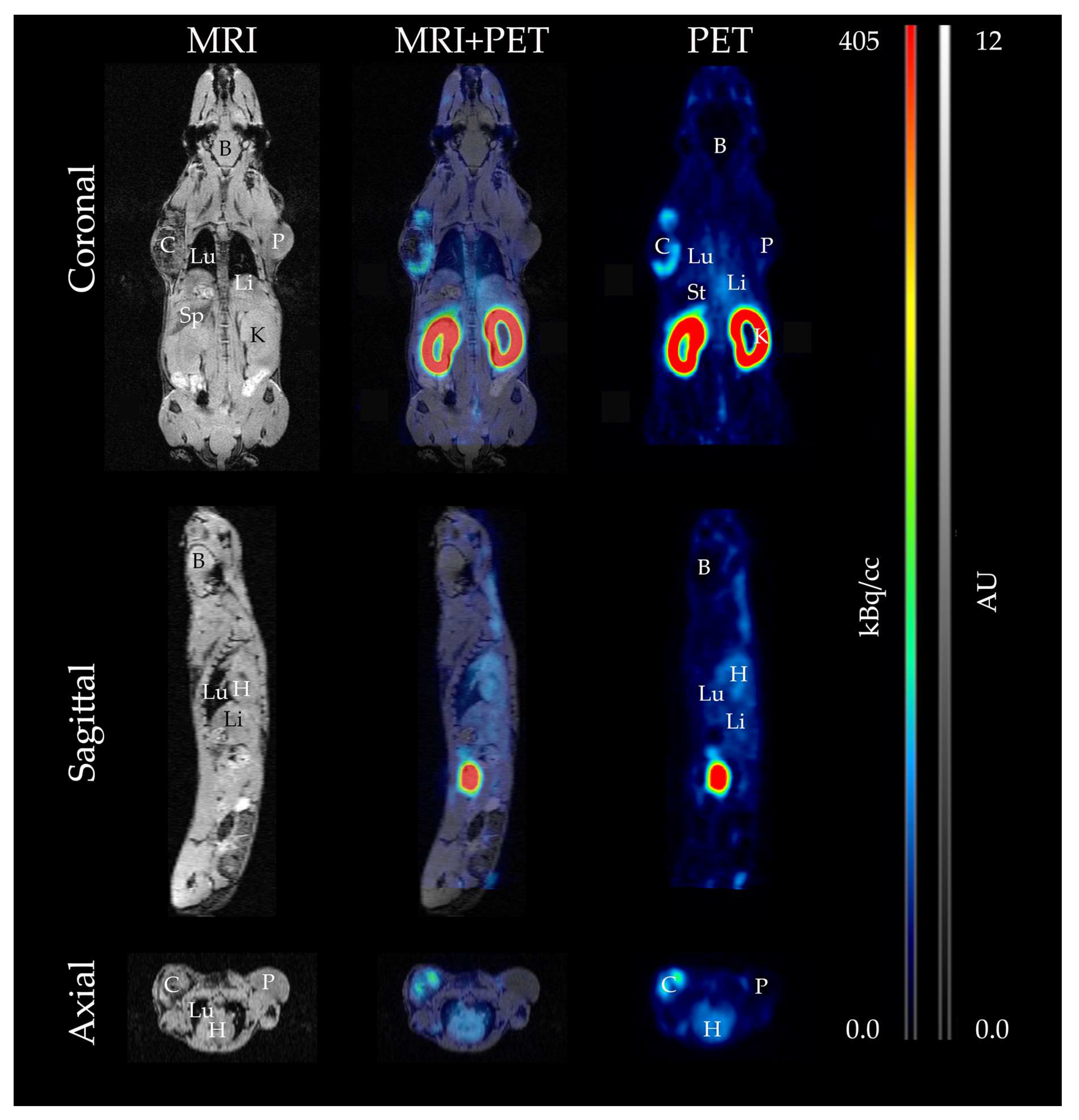 Cancers 13 04007 g006 Cancers 13 04007 g006
