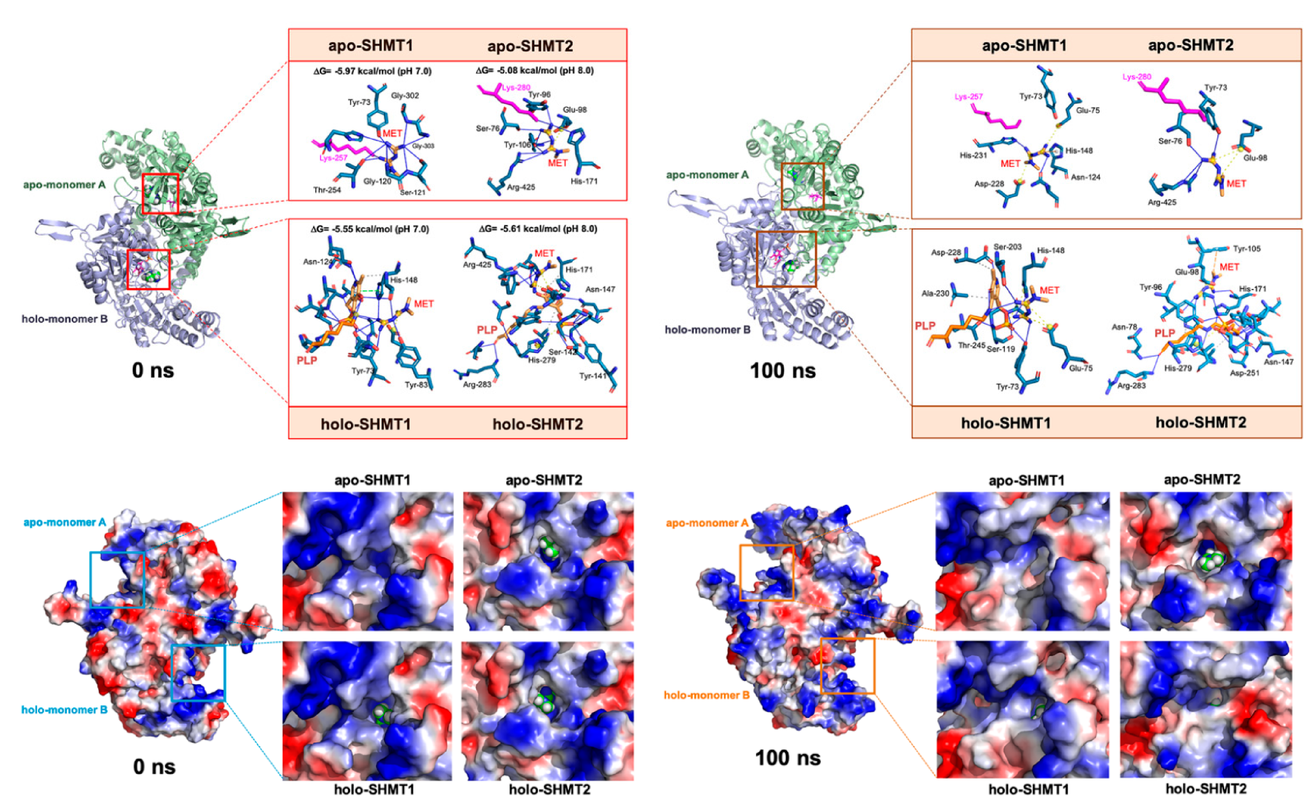 Cancers 13 04009 g002