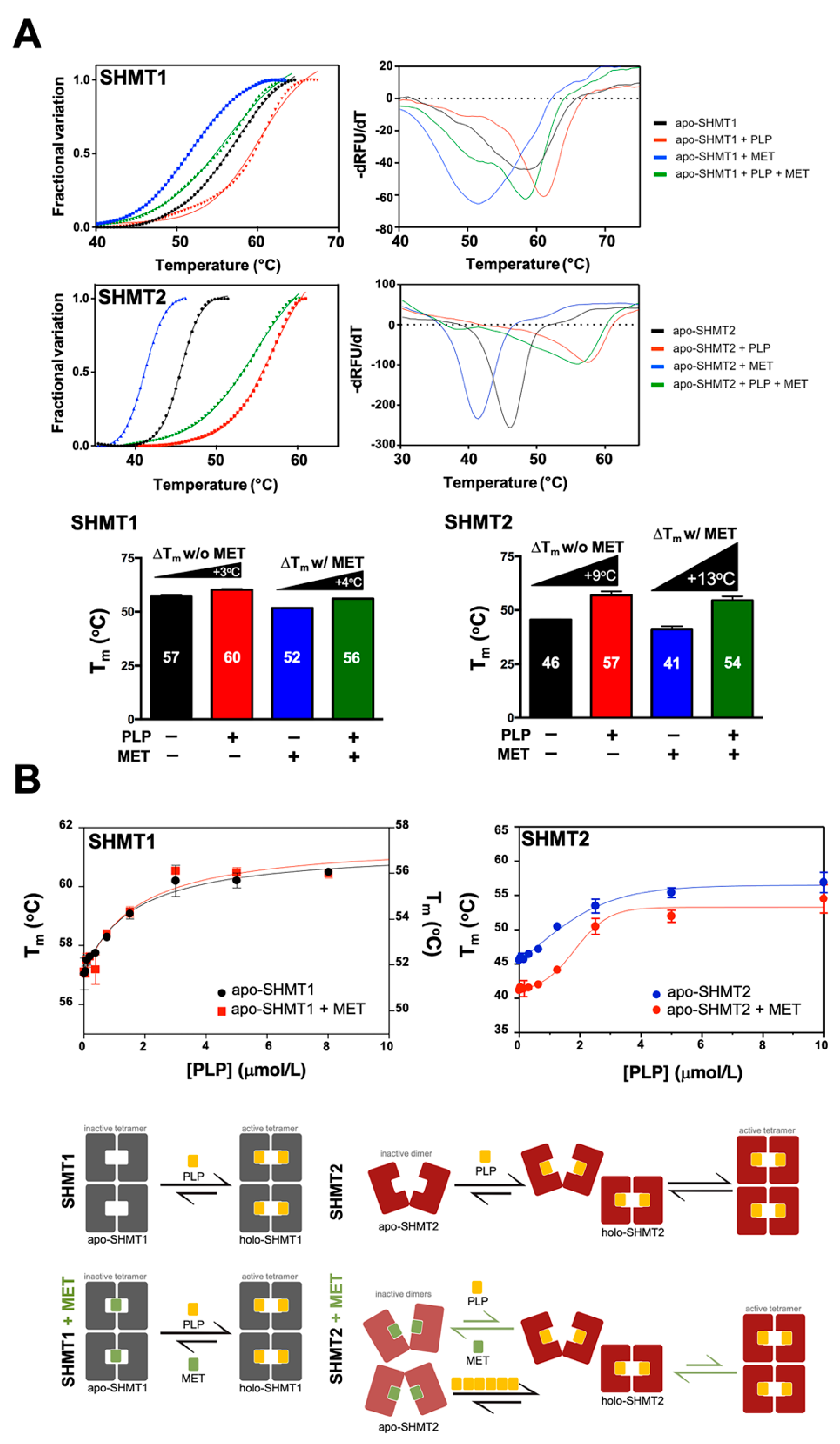 Cancers 13 04009 g003
