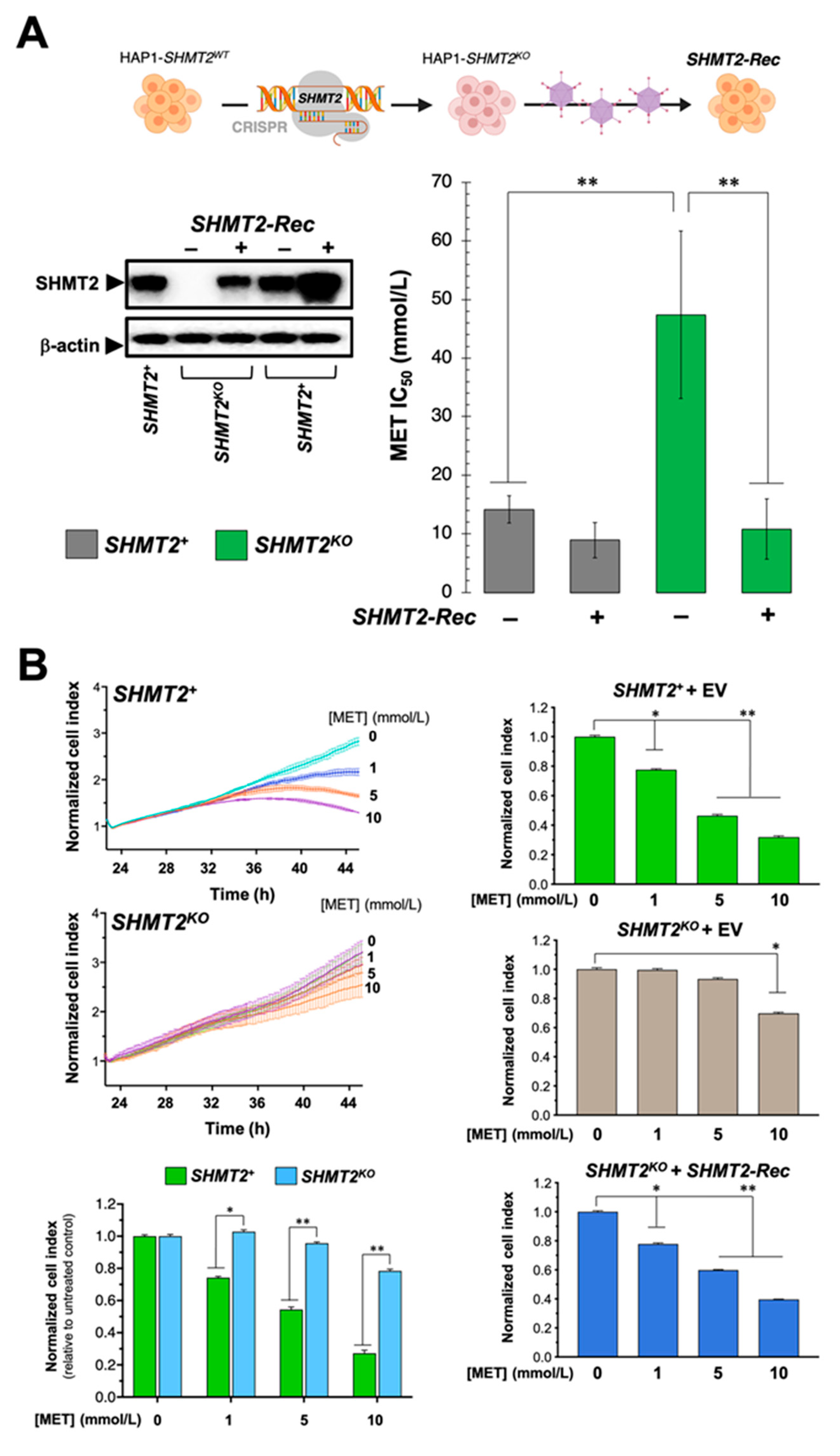 Cancers 13 04009 g006