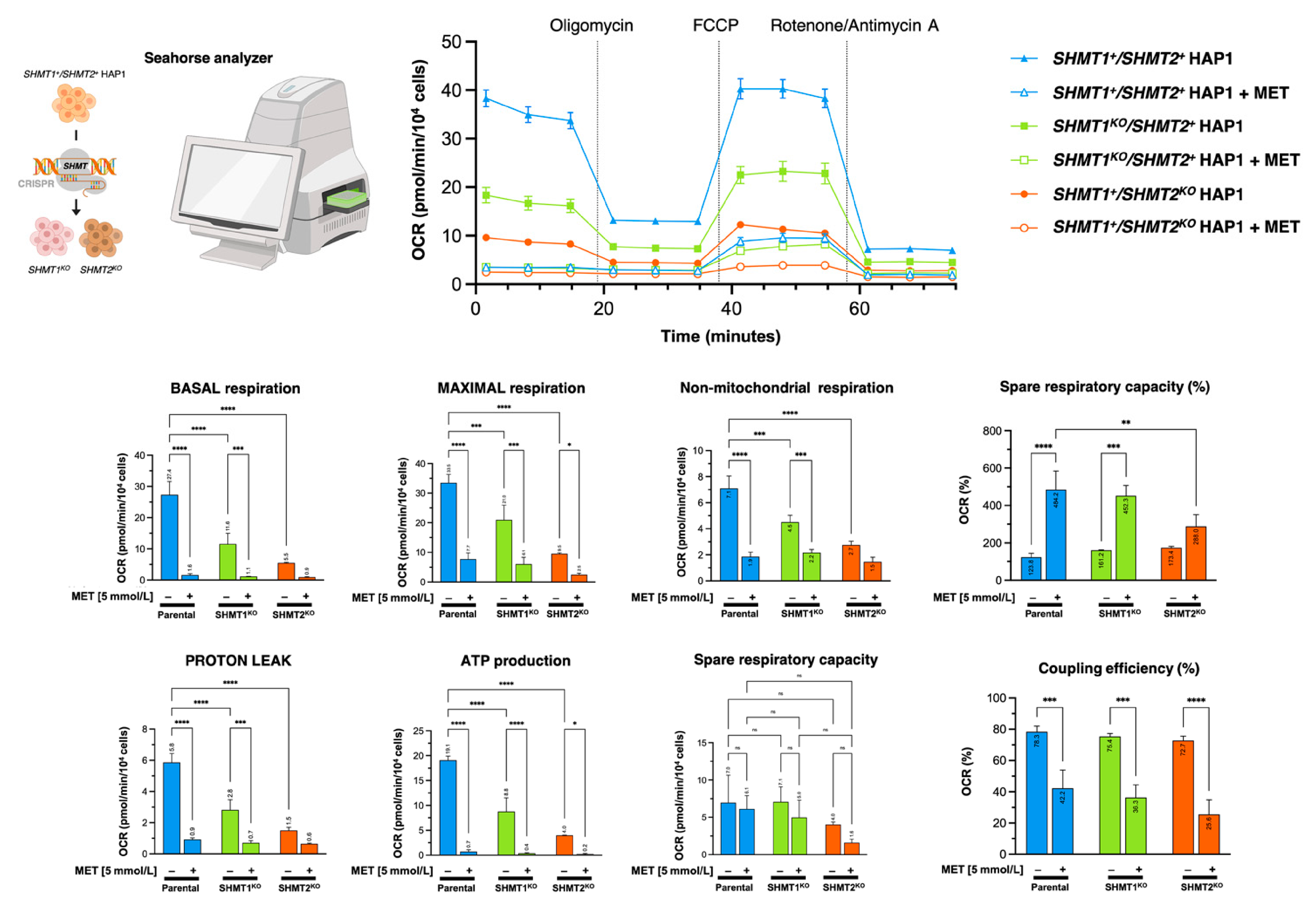 Cancers 13 04009 g007