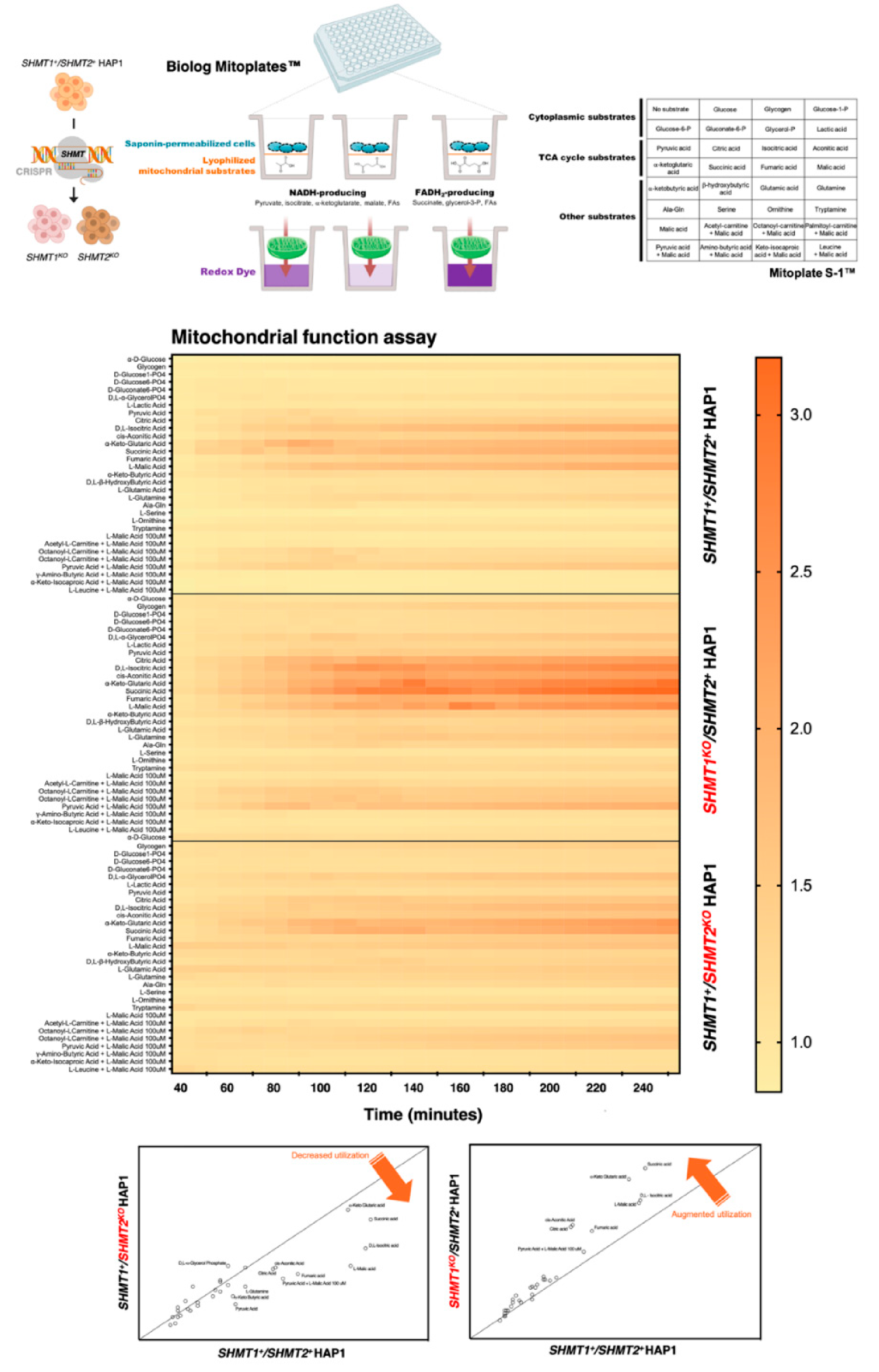 Cancers 13 04009 g008