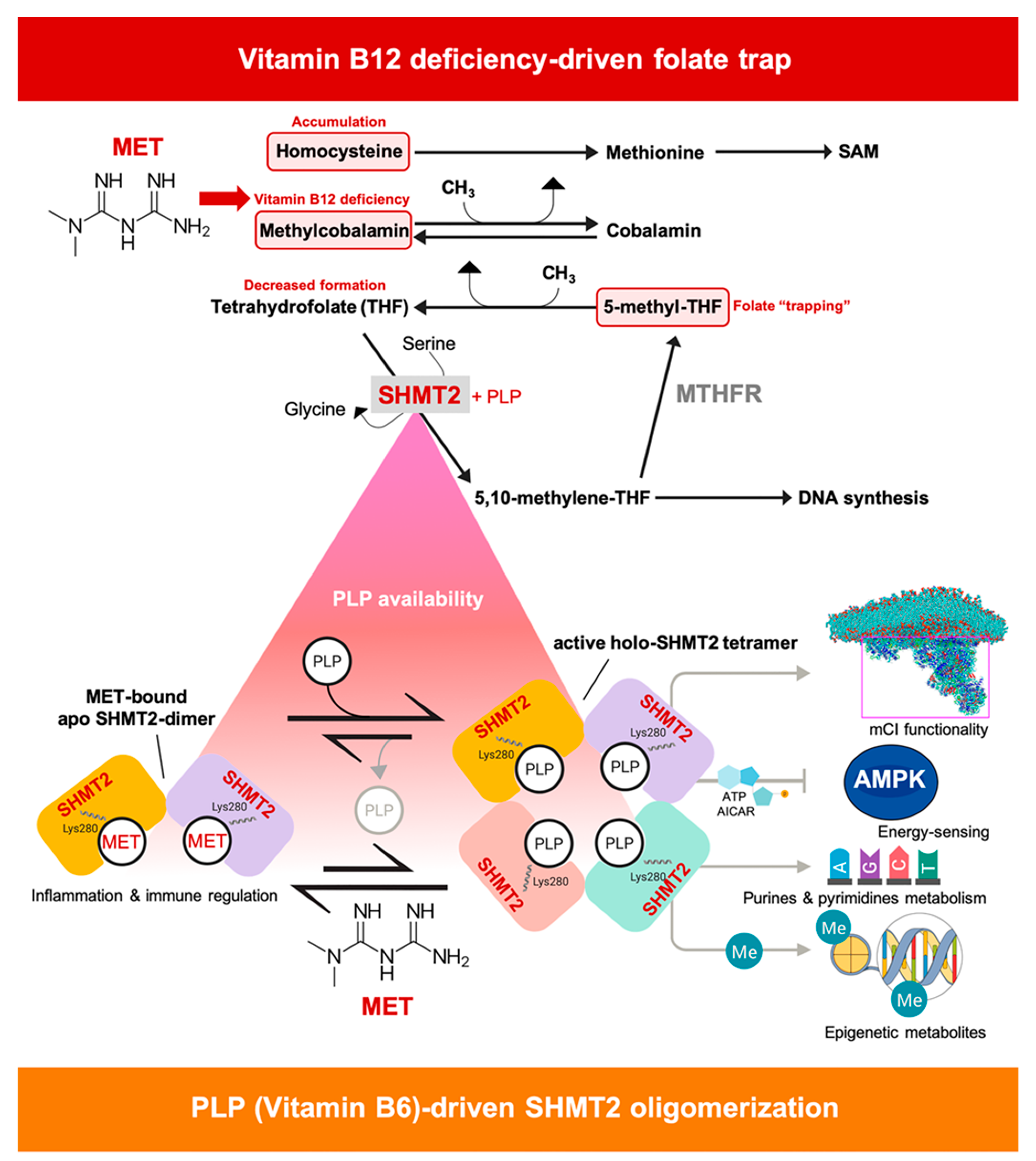 Cancers 13 04009 g009