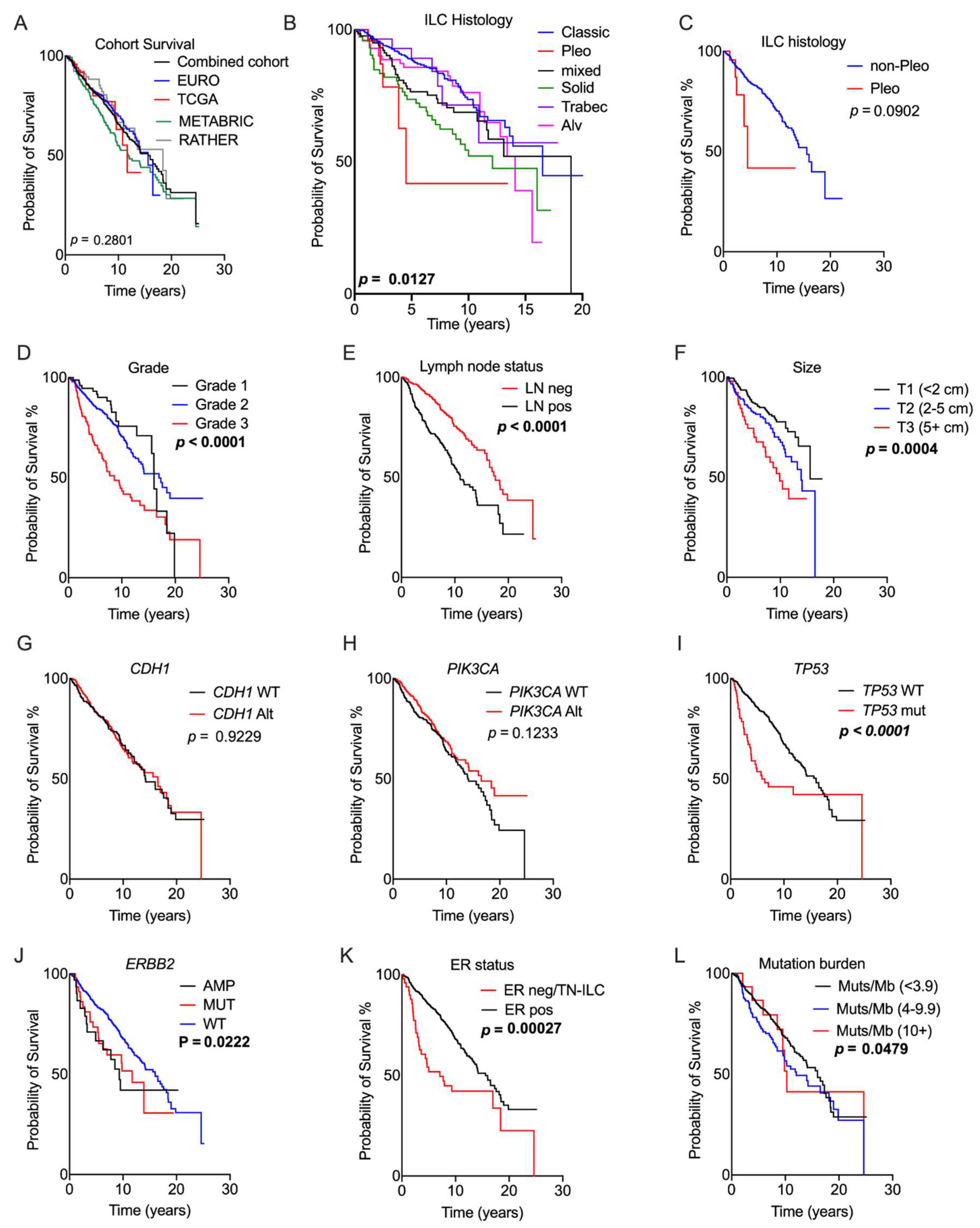 Cancers 13 04010 g002 550
