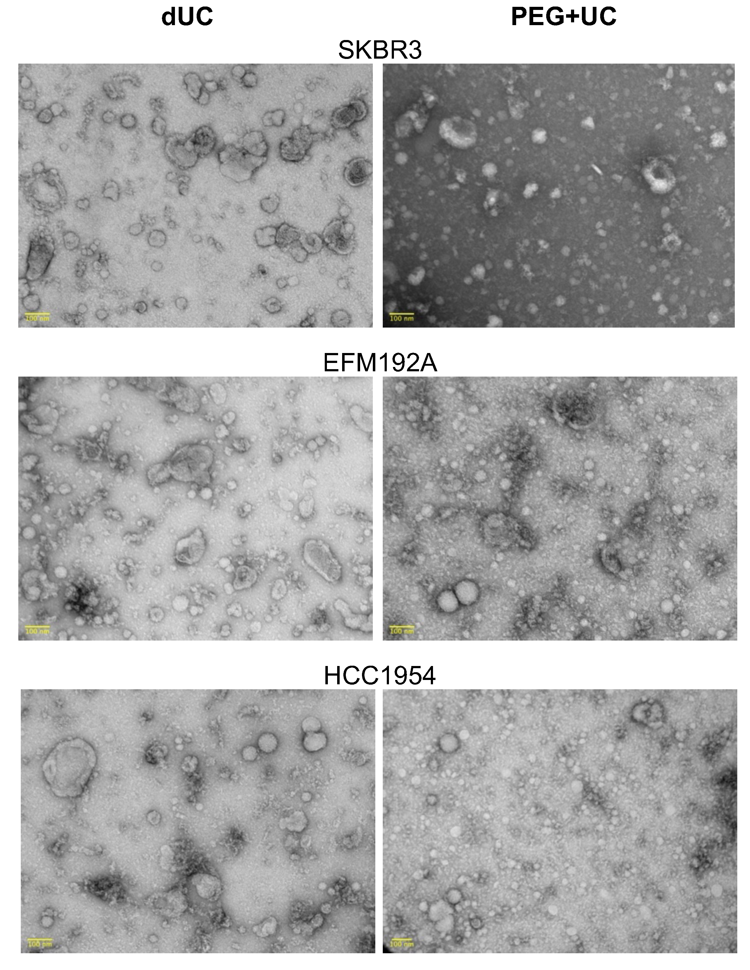 Cancers 13 04021 g003 550