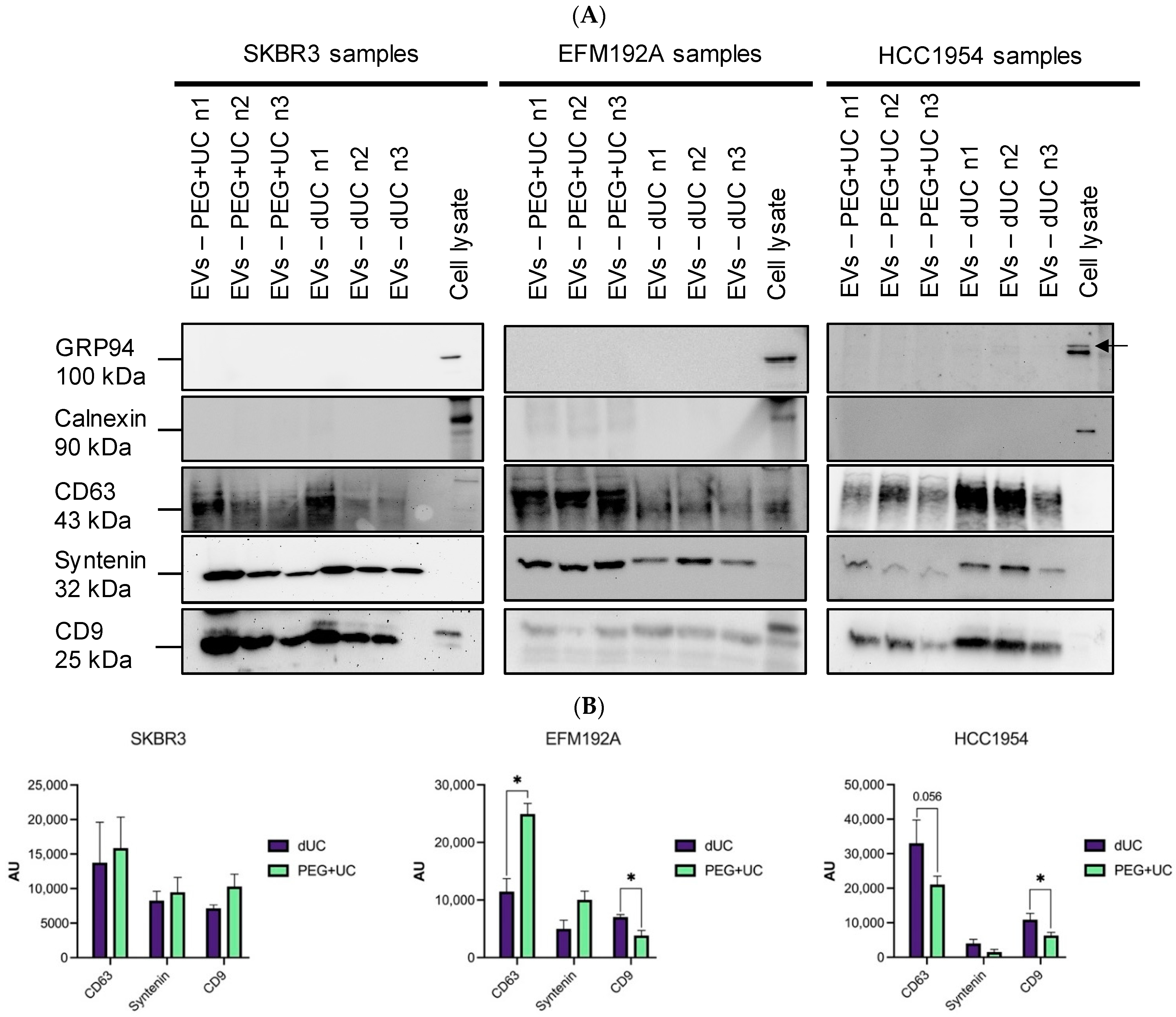 Cancers 13 04021 g006 550
