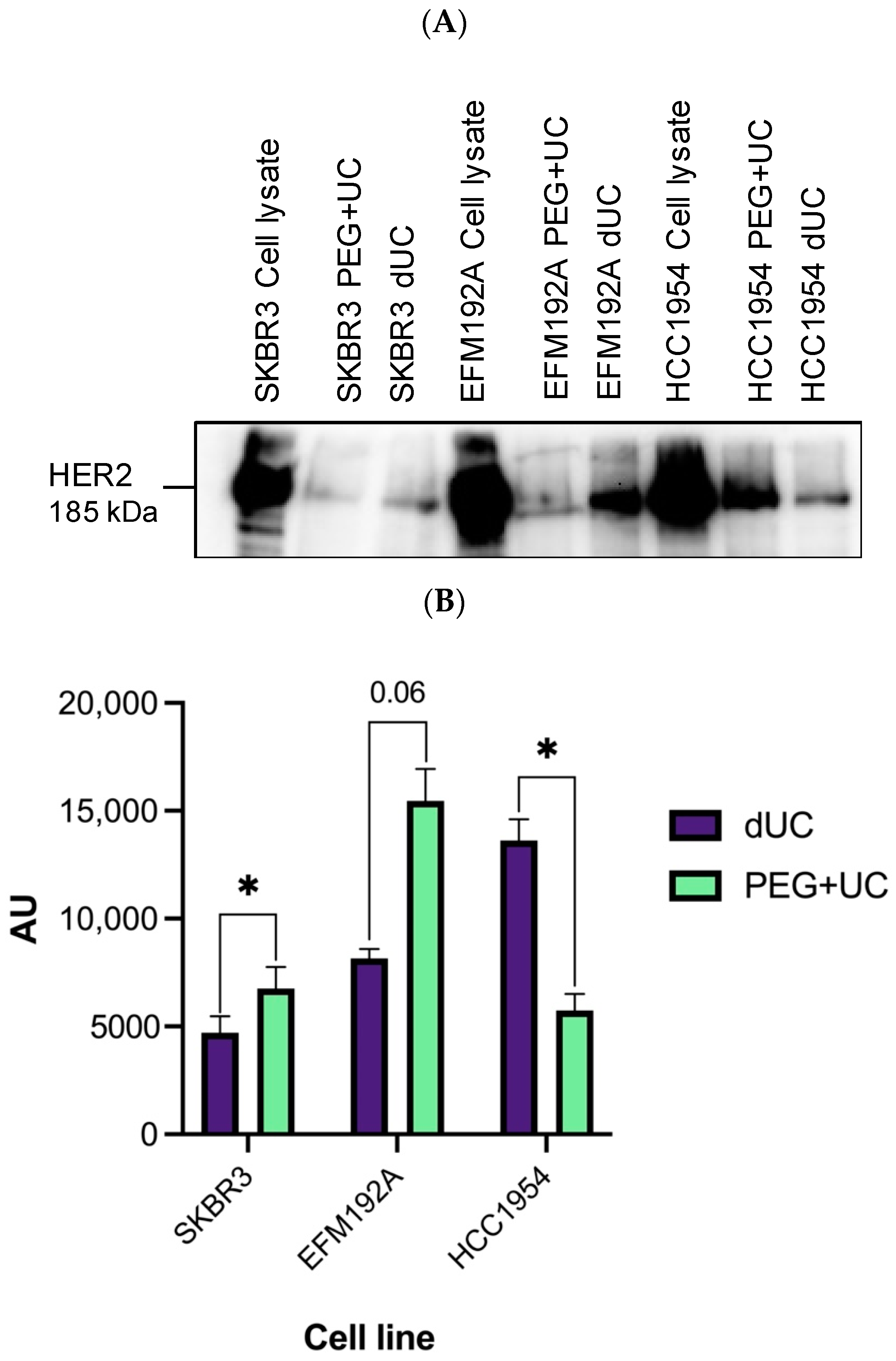 Cancers 13 04021 g007 550
