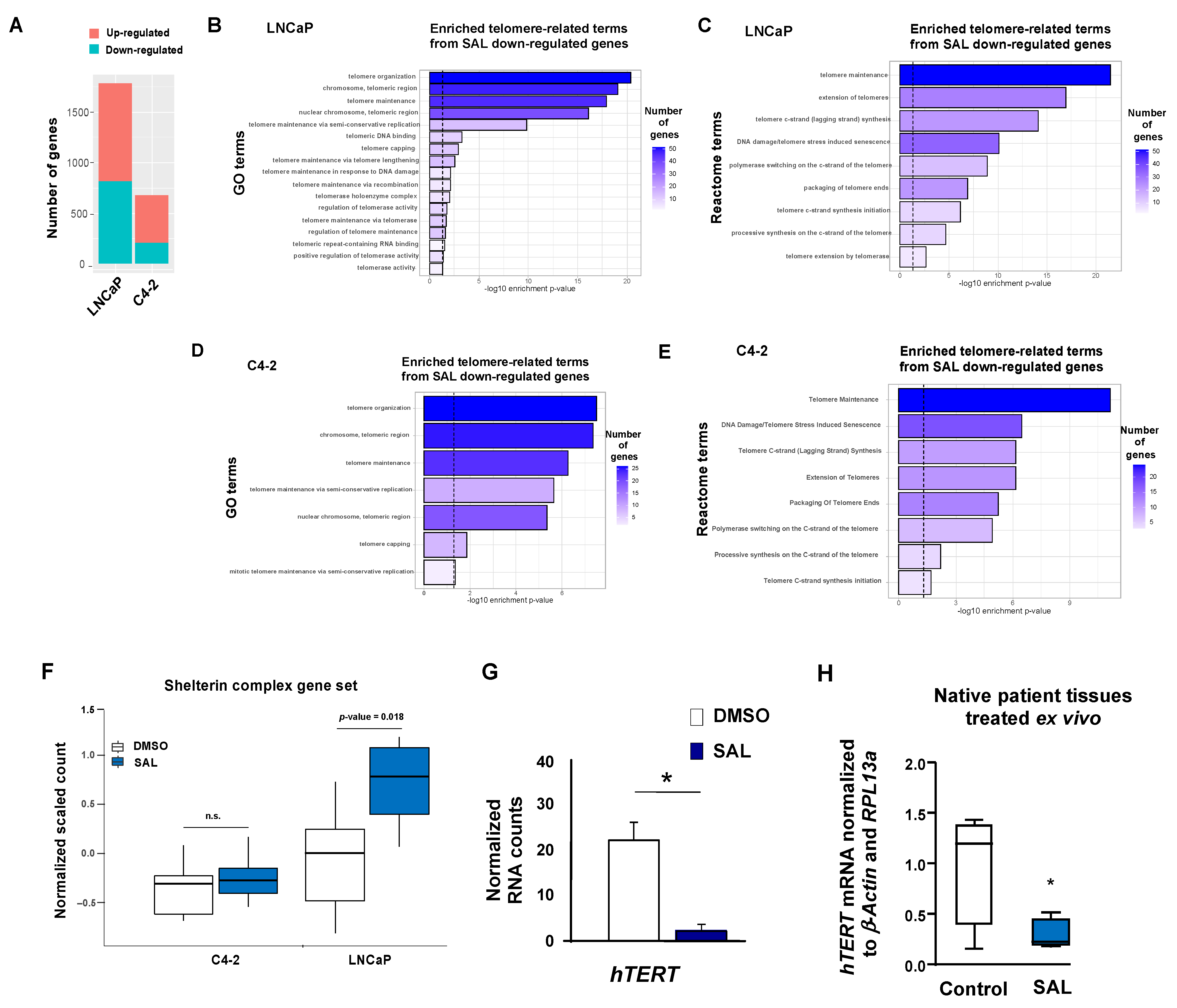 Cancers 13 04025 g001 Cancers 13 04025 g001