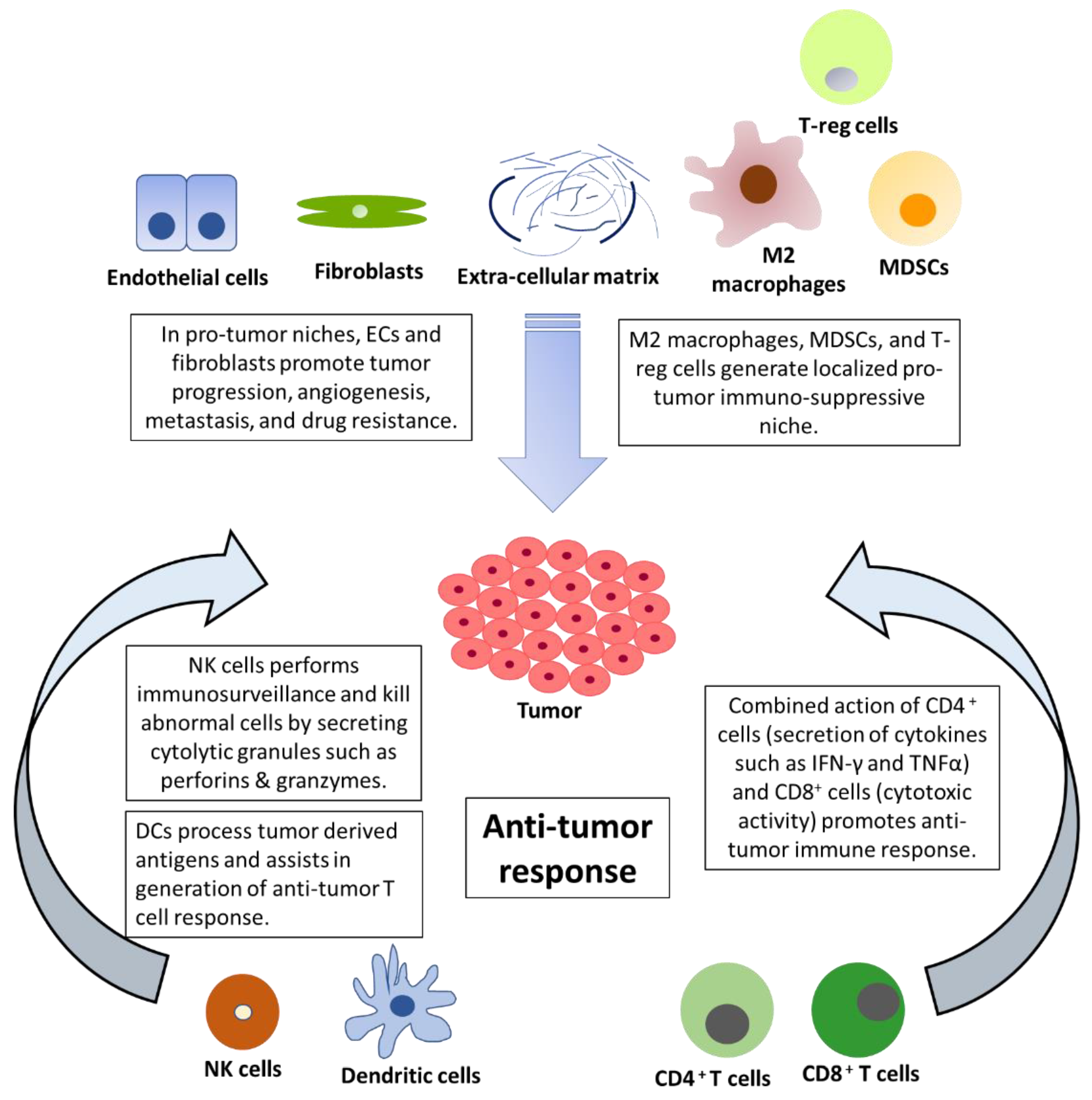 Cancers 13 04037 g001