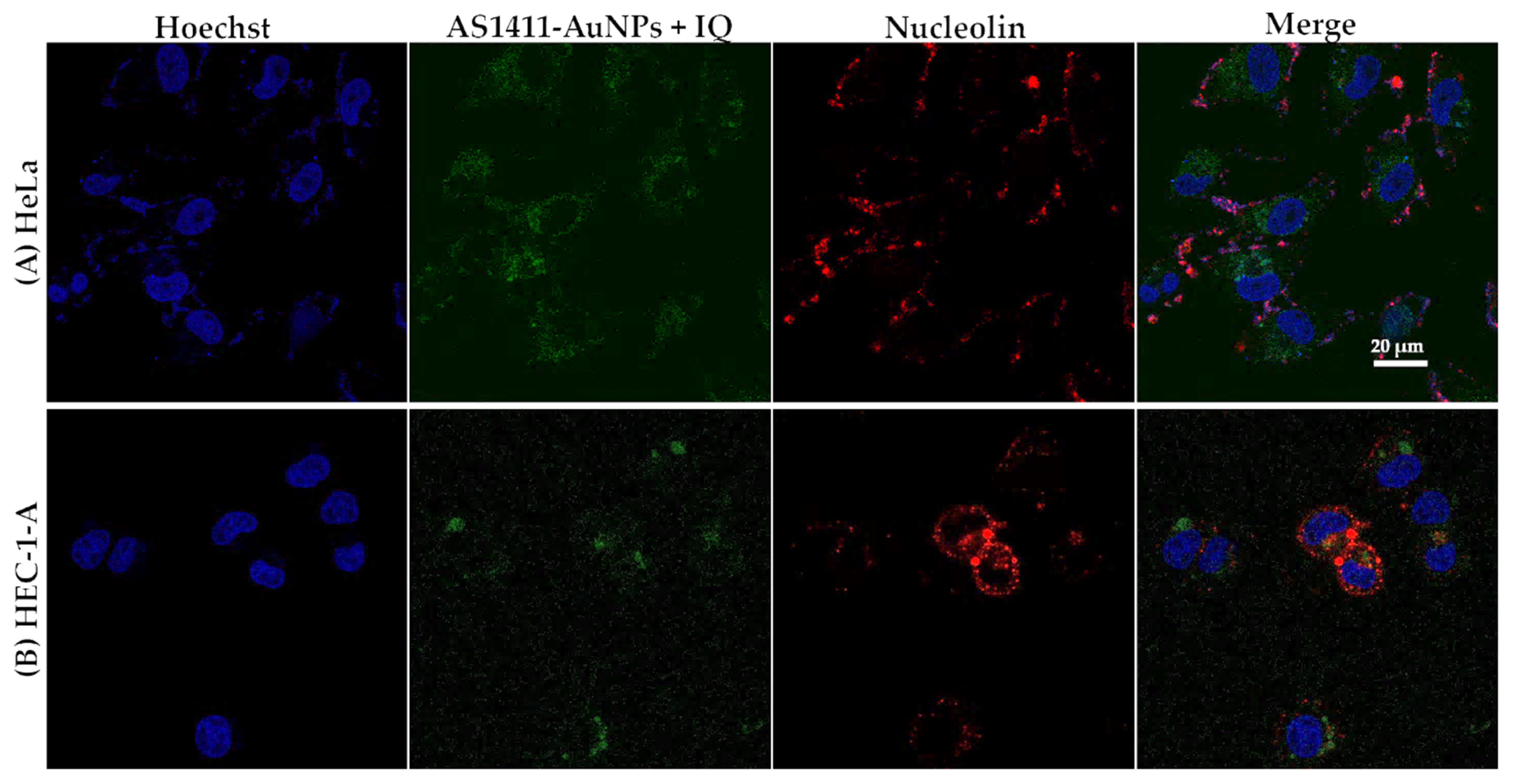 Cancers 13 04038 g007 550