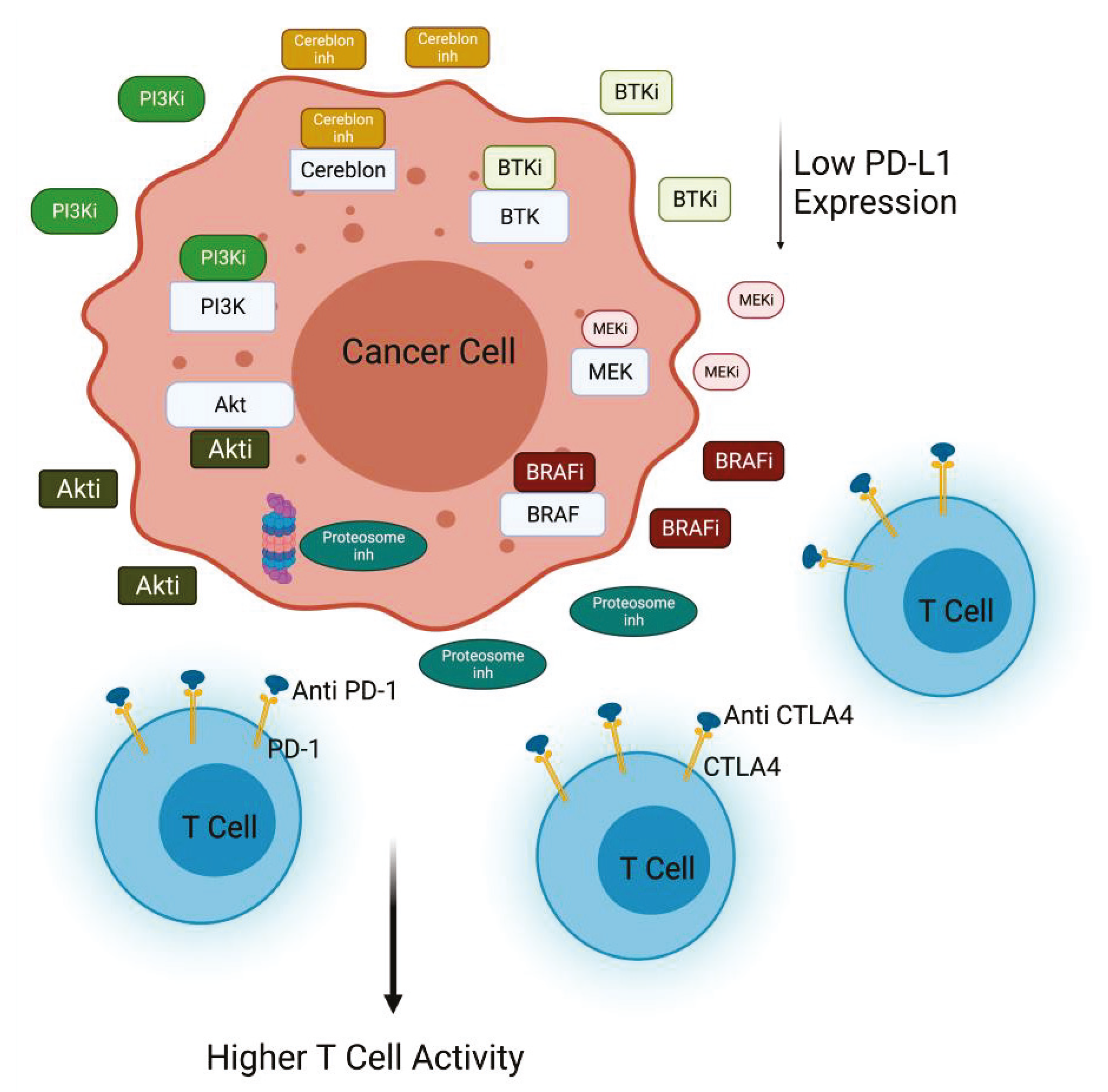 Cancers 13 04040 g002 550
