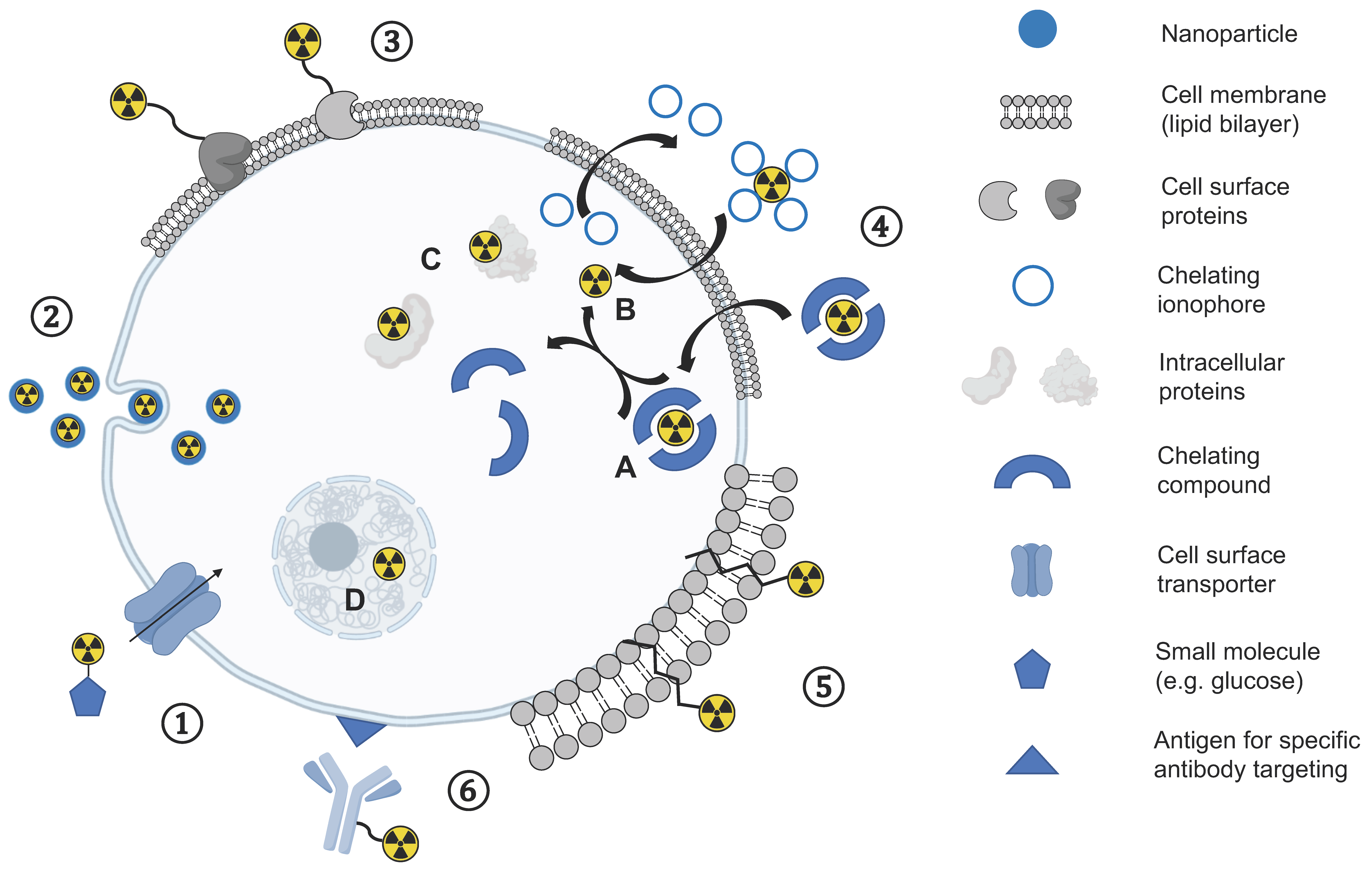 Cancers 13 04042 g001