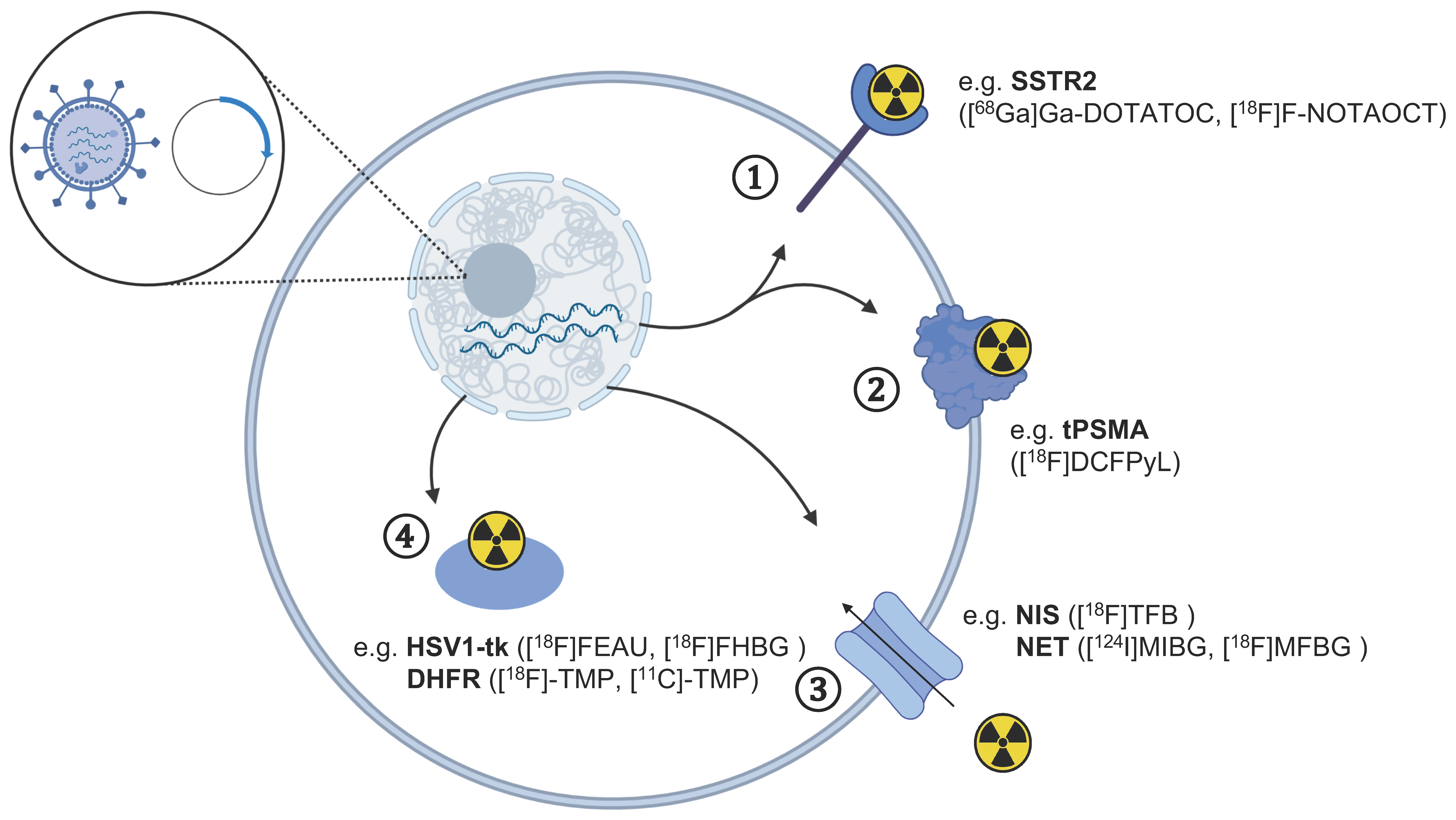 Cancers 13 04042 g002